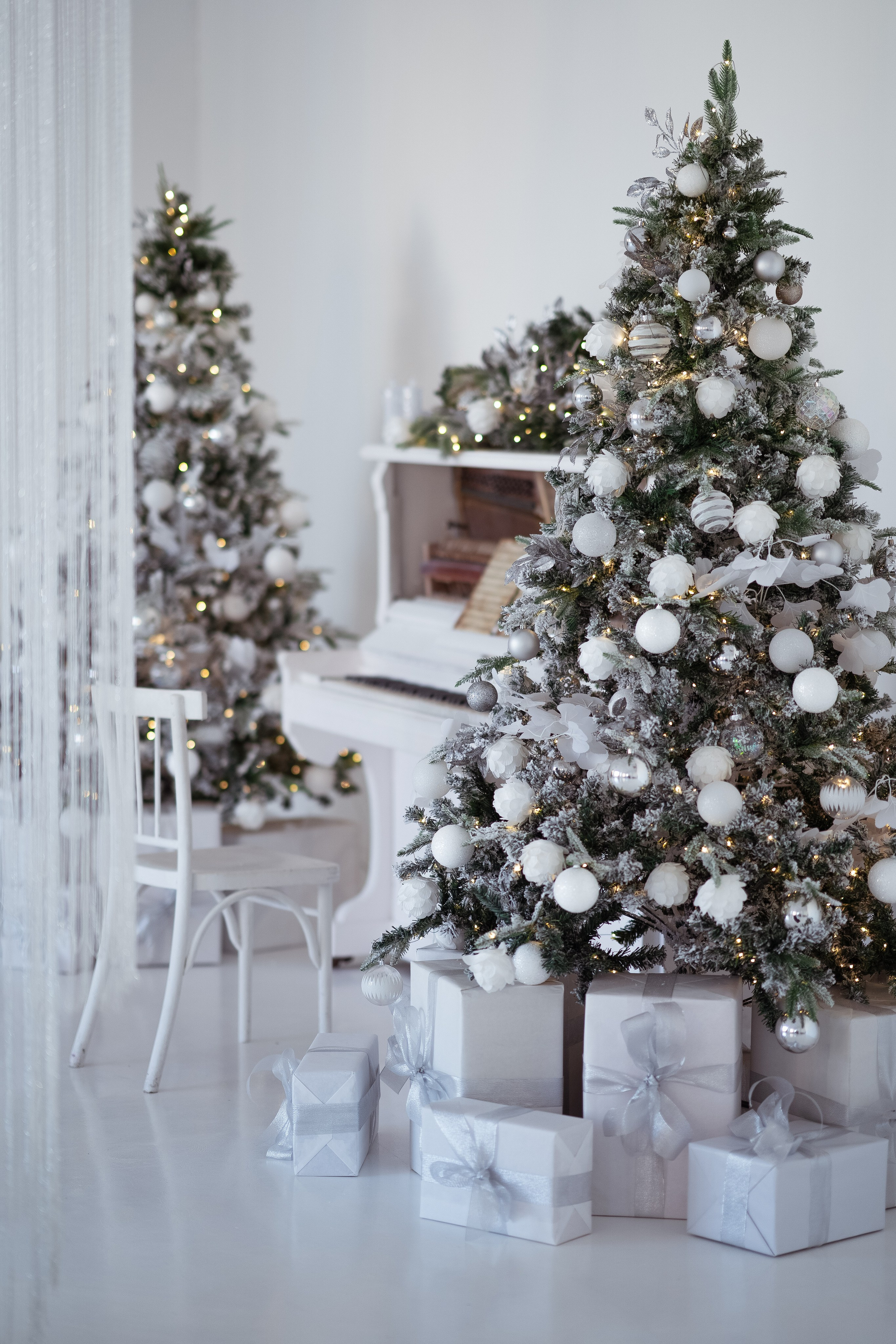 Ренессанс. Фотограф г. Хабаровск. Семейные и индивидуальные съёмки