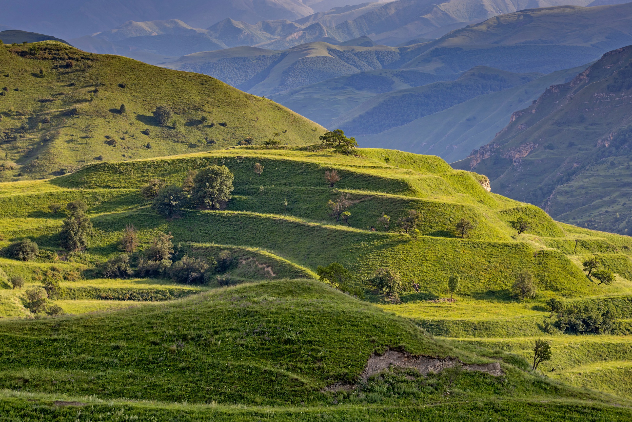 Природа. Макс По — фото и видео съемки любого формата
