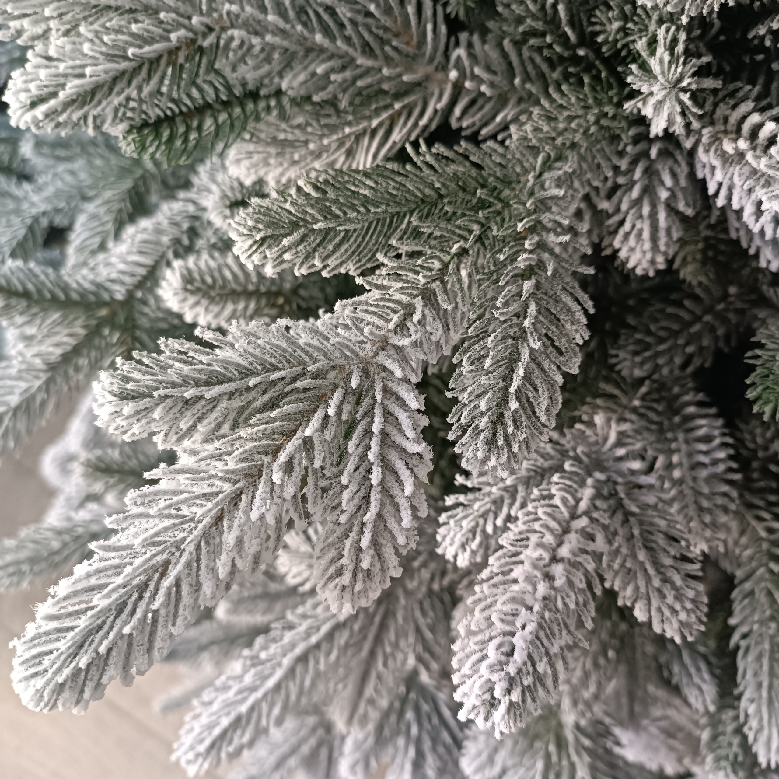 СЬЮЗАН. Elki_grodno