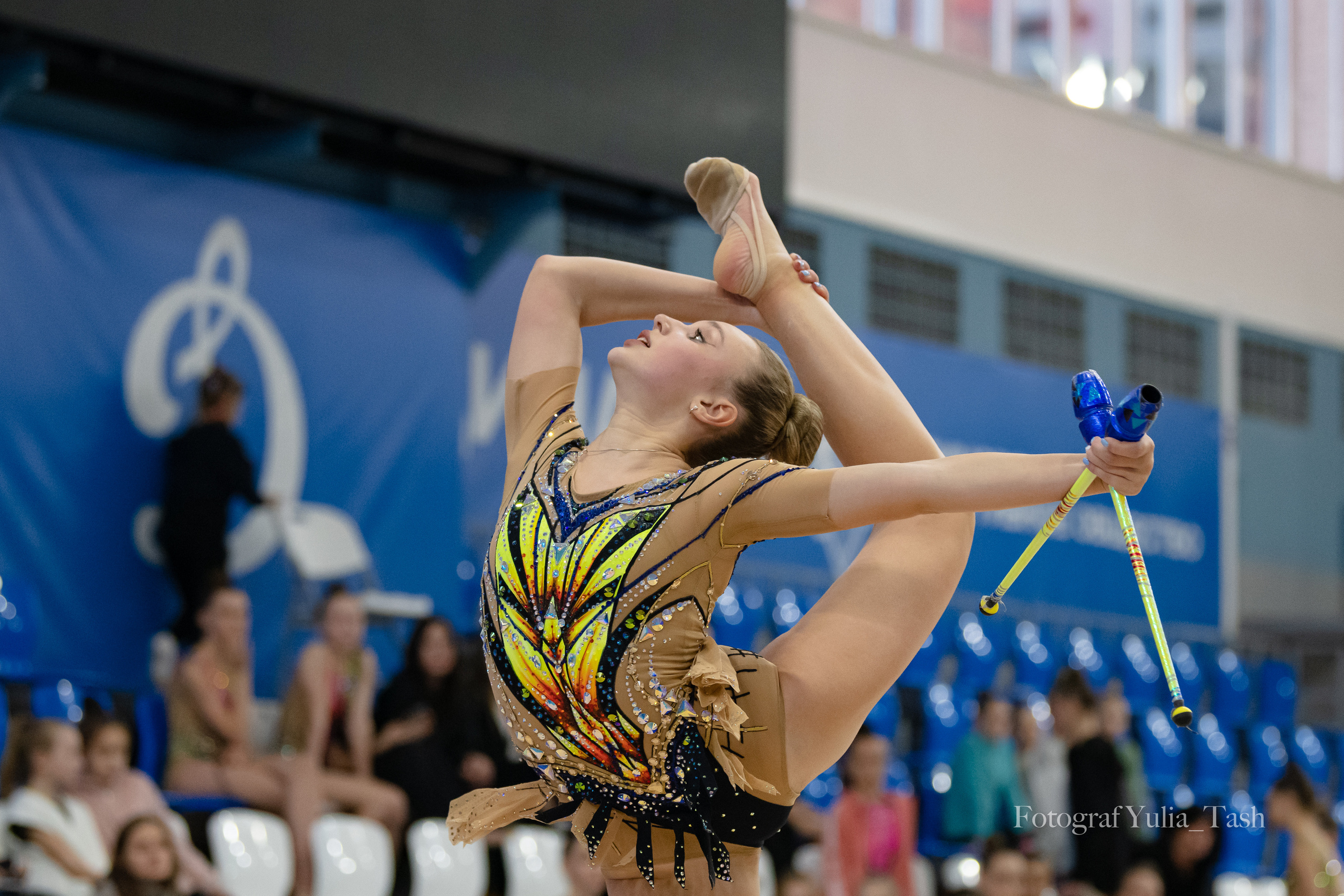Контрольная тренировка. Любимый фотограф