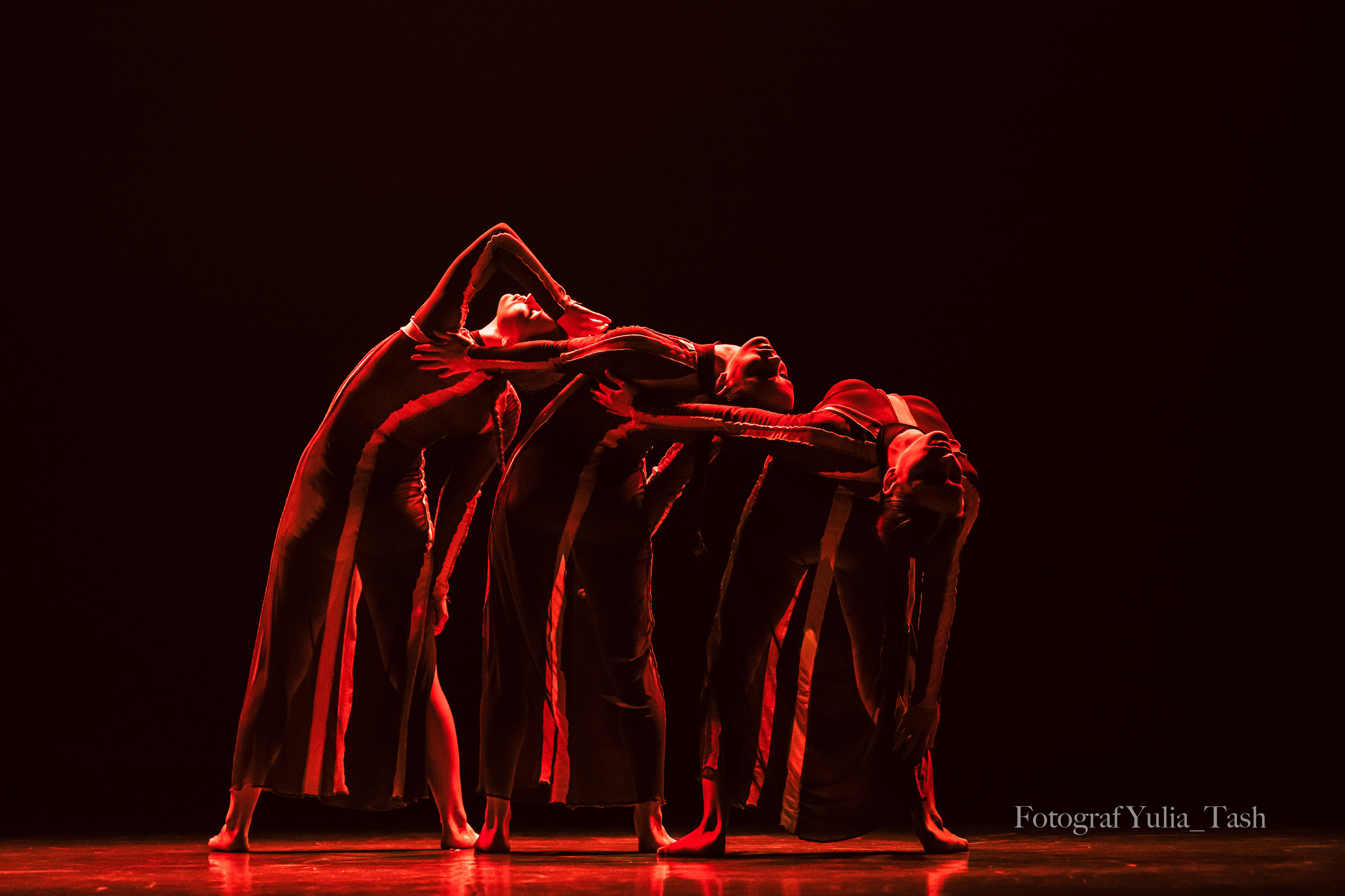 ДВИЖЕНИЕ 2023. Любимый фотограф