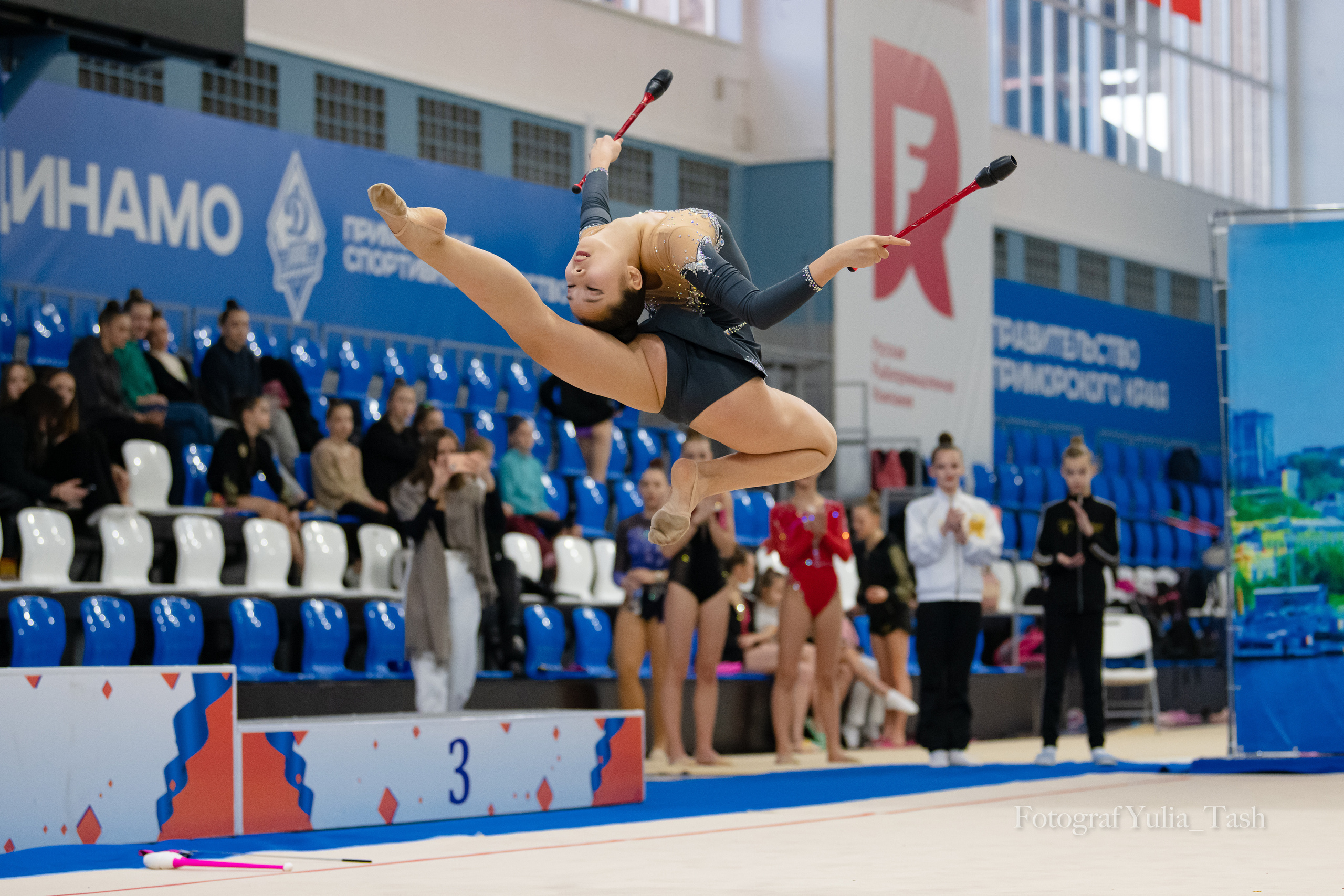 Контрольная тренировка. Любимый фотограф