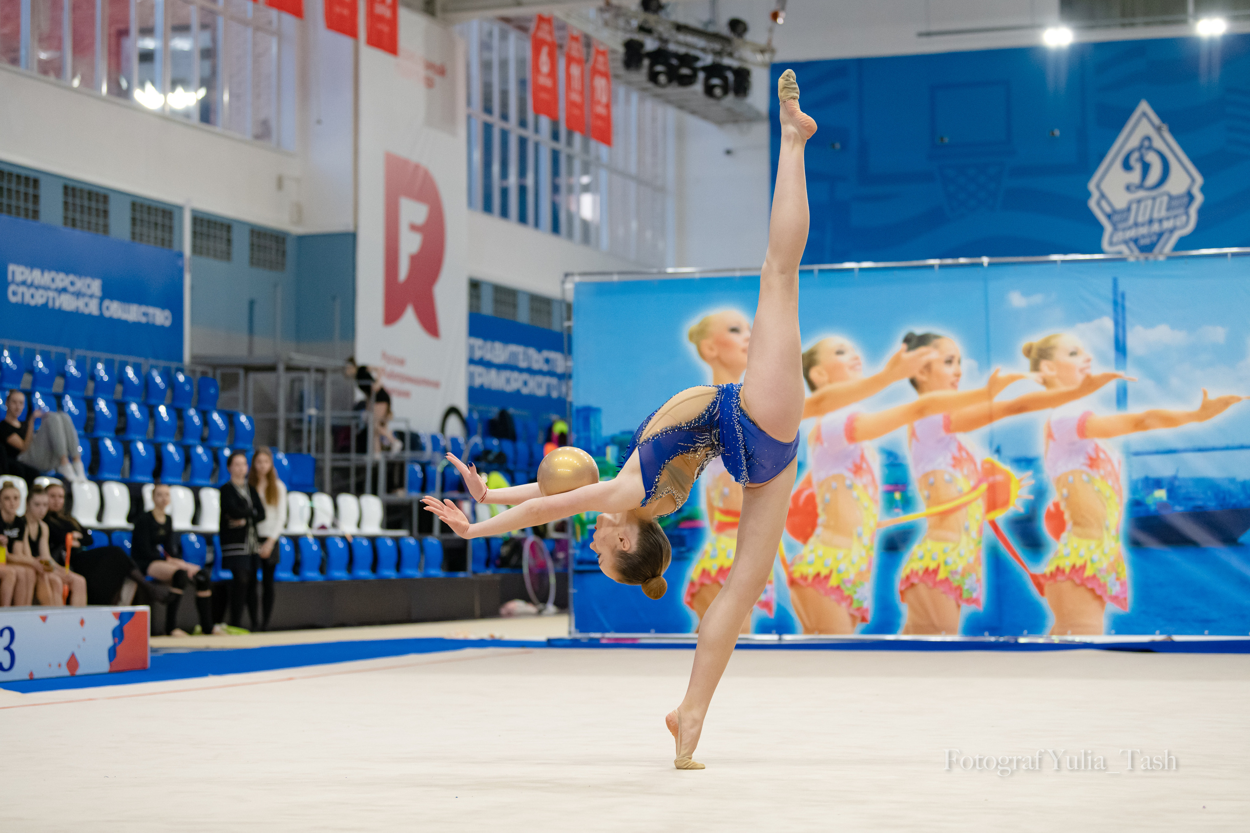 Контрольная тренировка. Любимый фотограф
