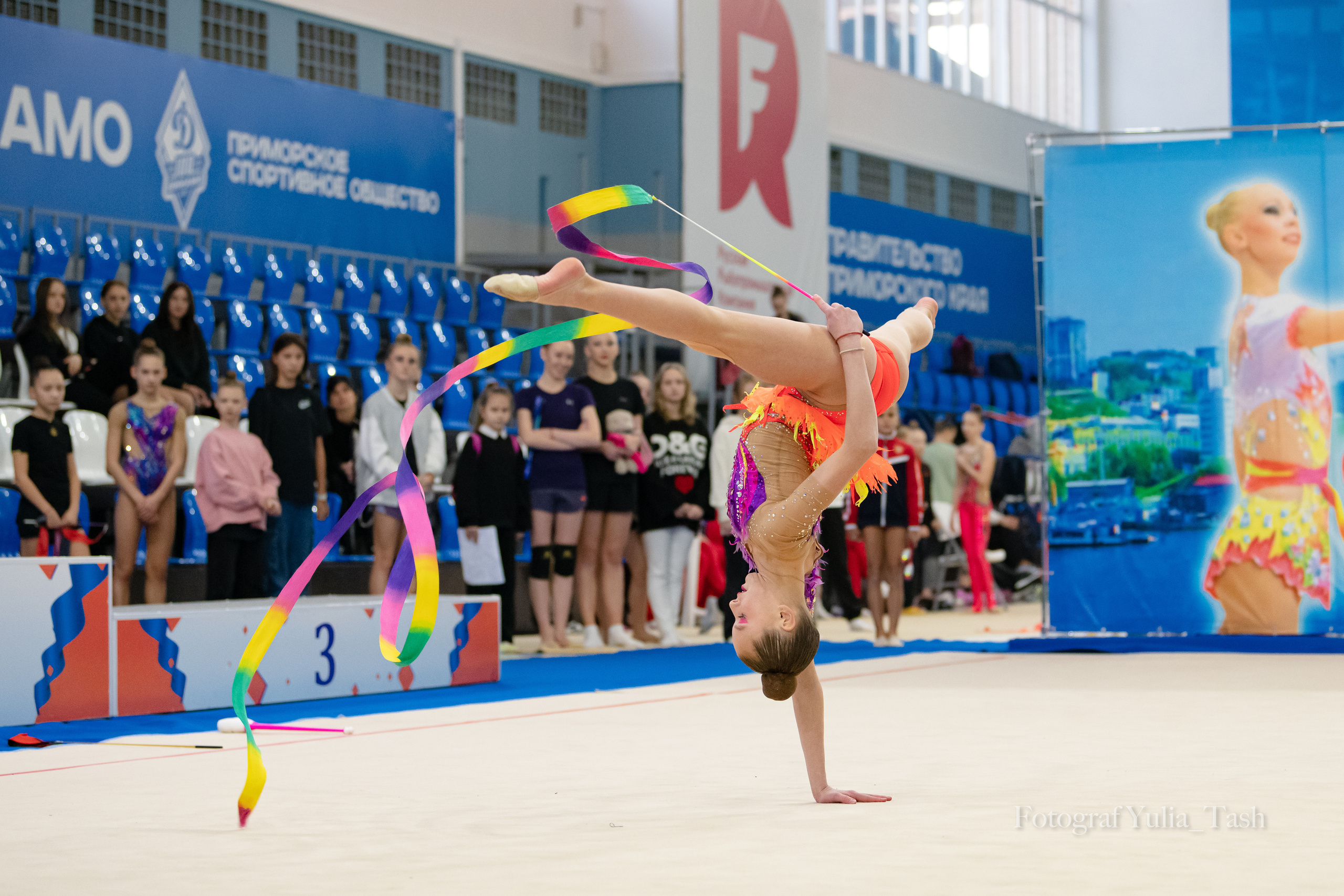 Контрольная тренировка. Любимый фотограф