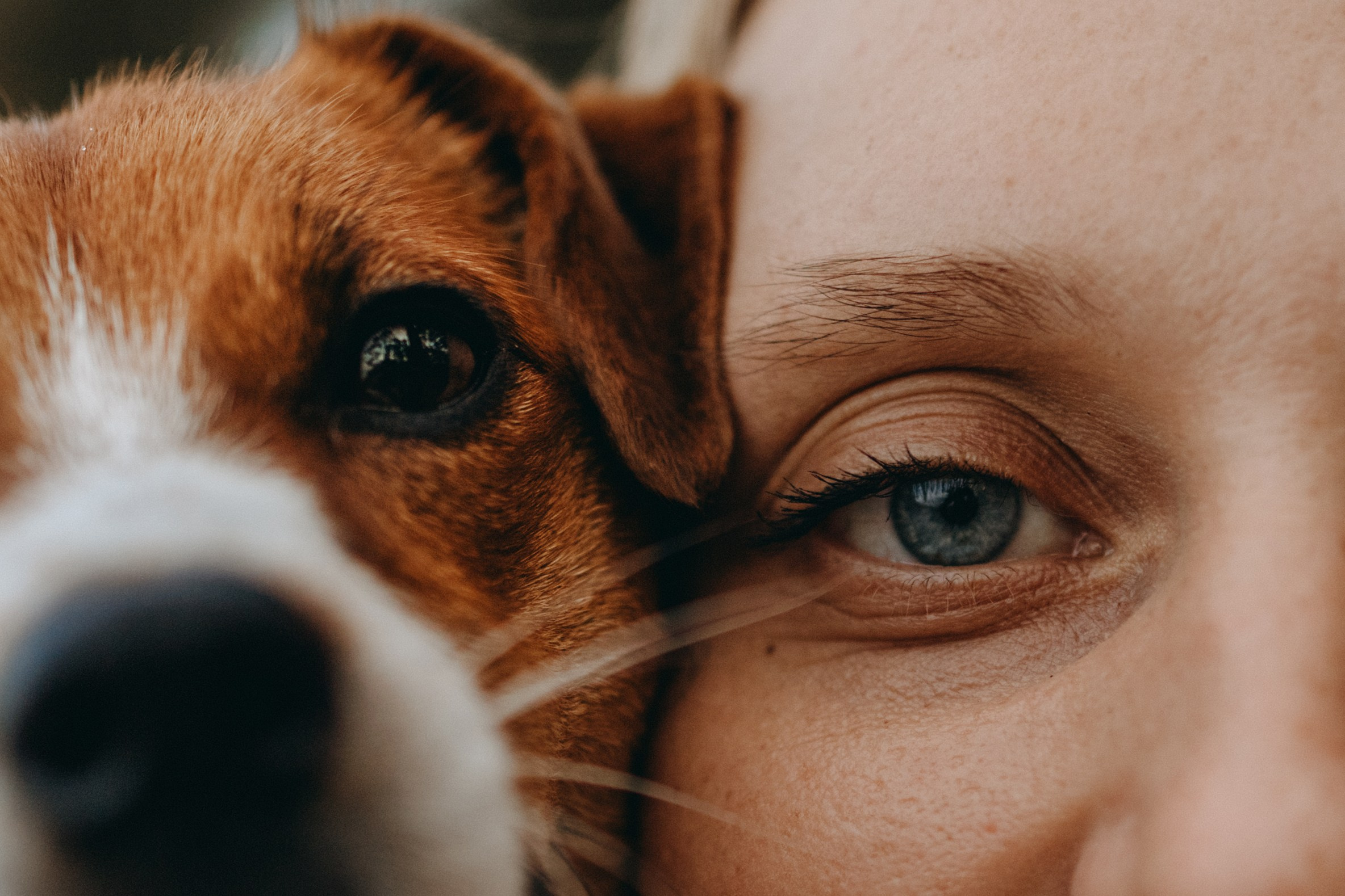 Лея и ее семья. Фотограф — Анималист | Санкт-Петербург