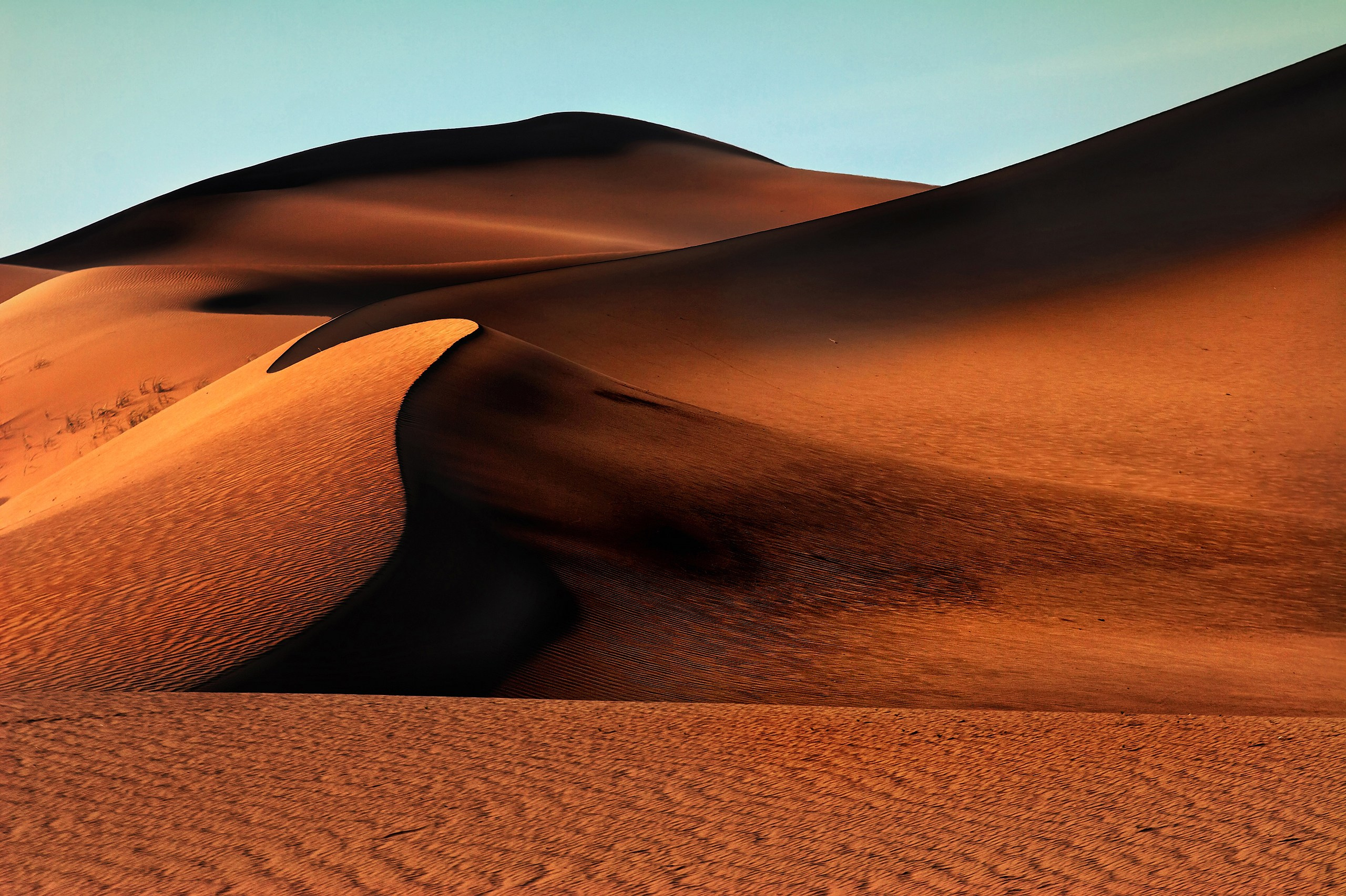 Монголия. Фотограф Владимир Медведев