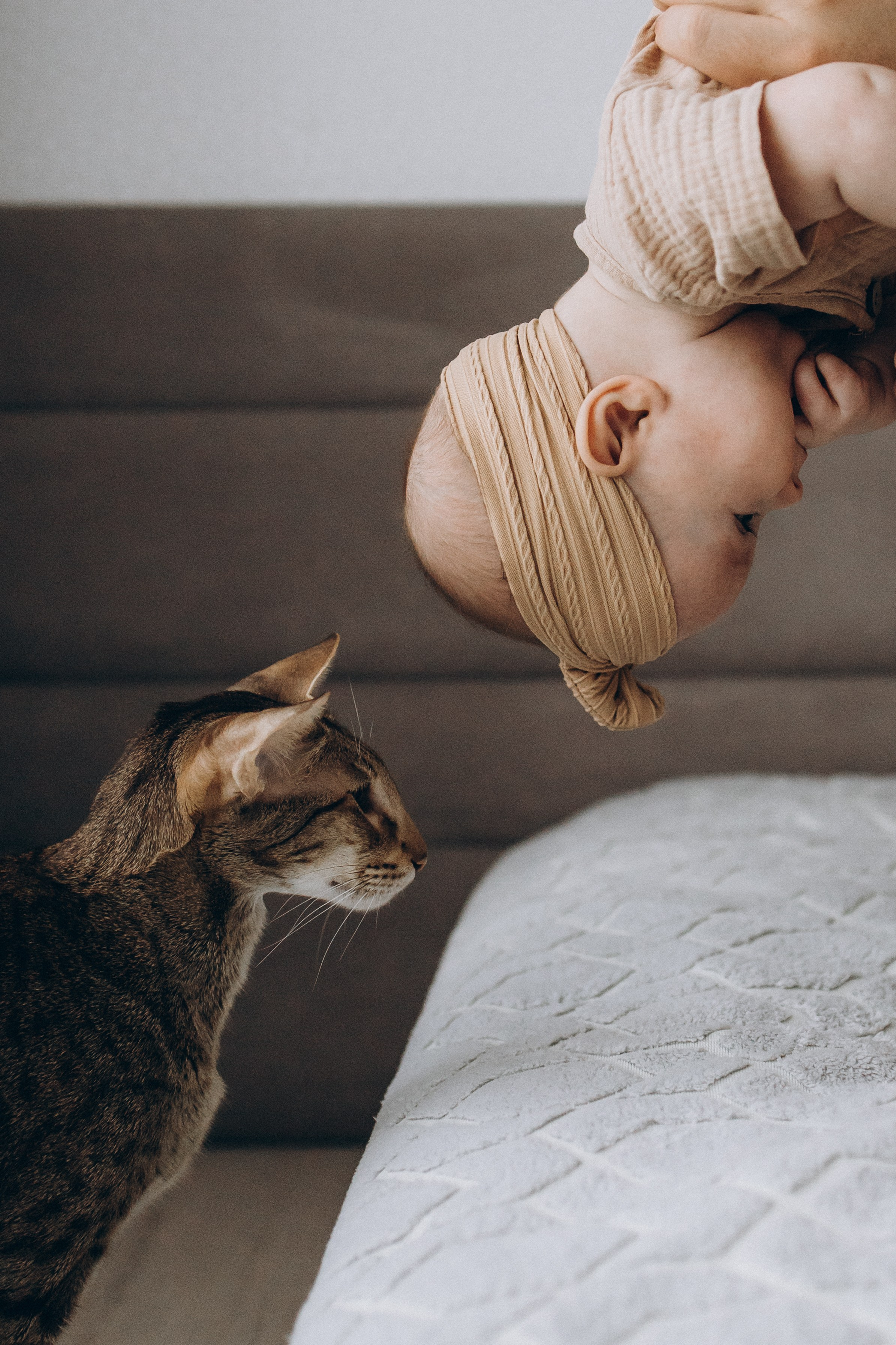 Уютная домашняя съемка с малышкой и котиком. Семейный фотограф в Москве, Щелково, Фрязино _ Виктория Степанова