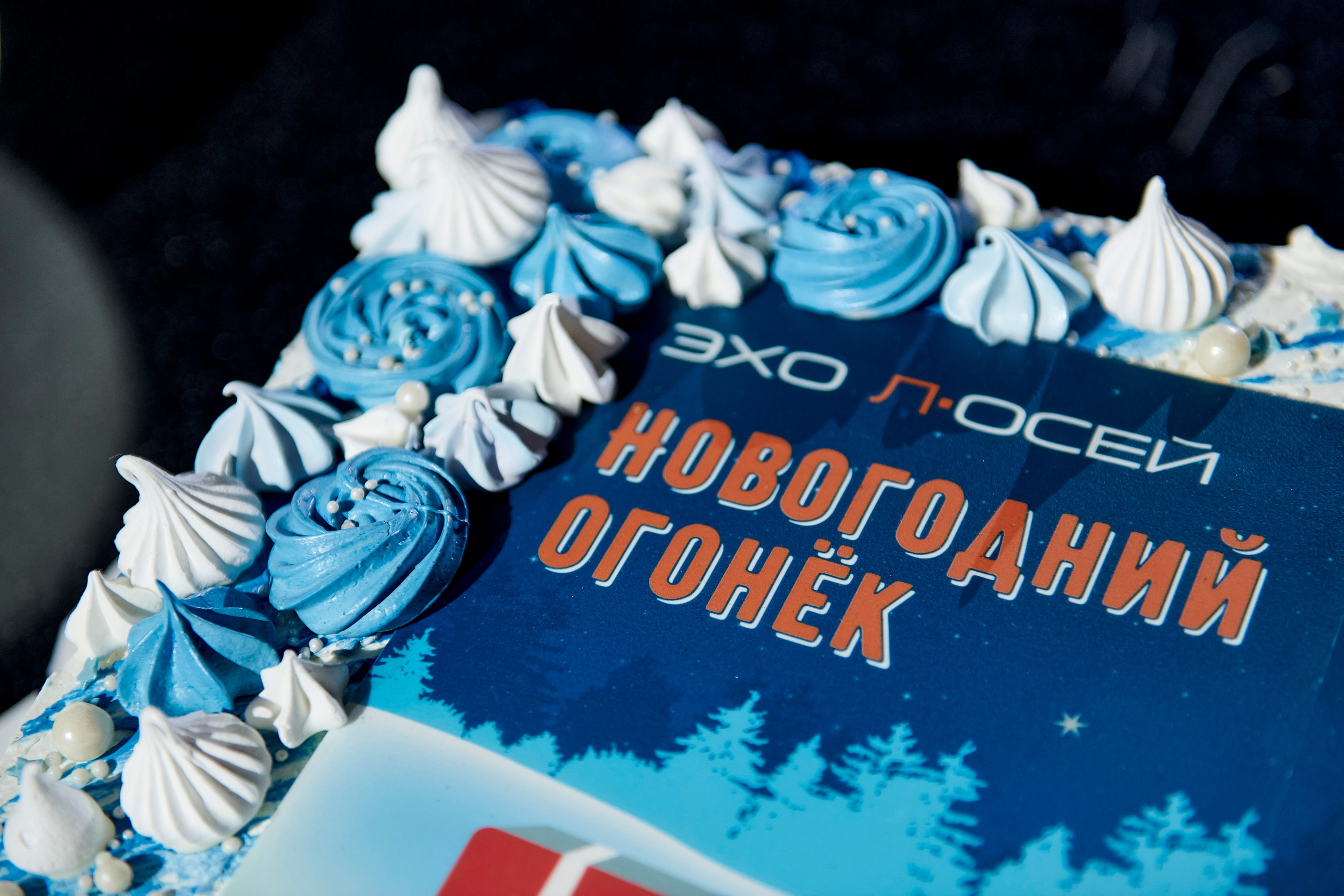 OCS Новогодний огонёк. Фотограф Постольник Дарья