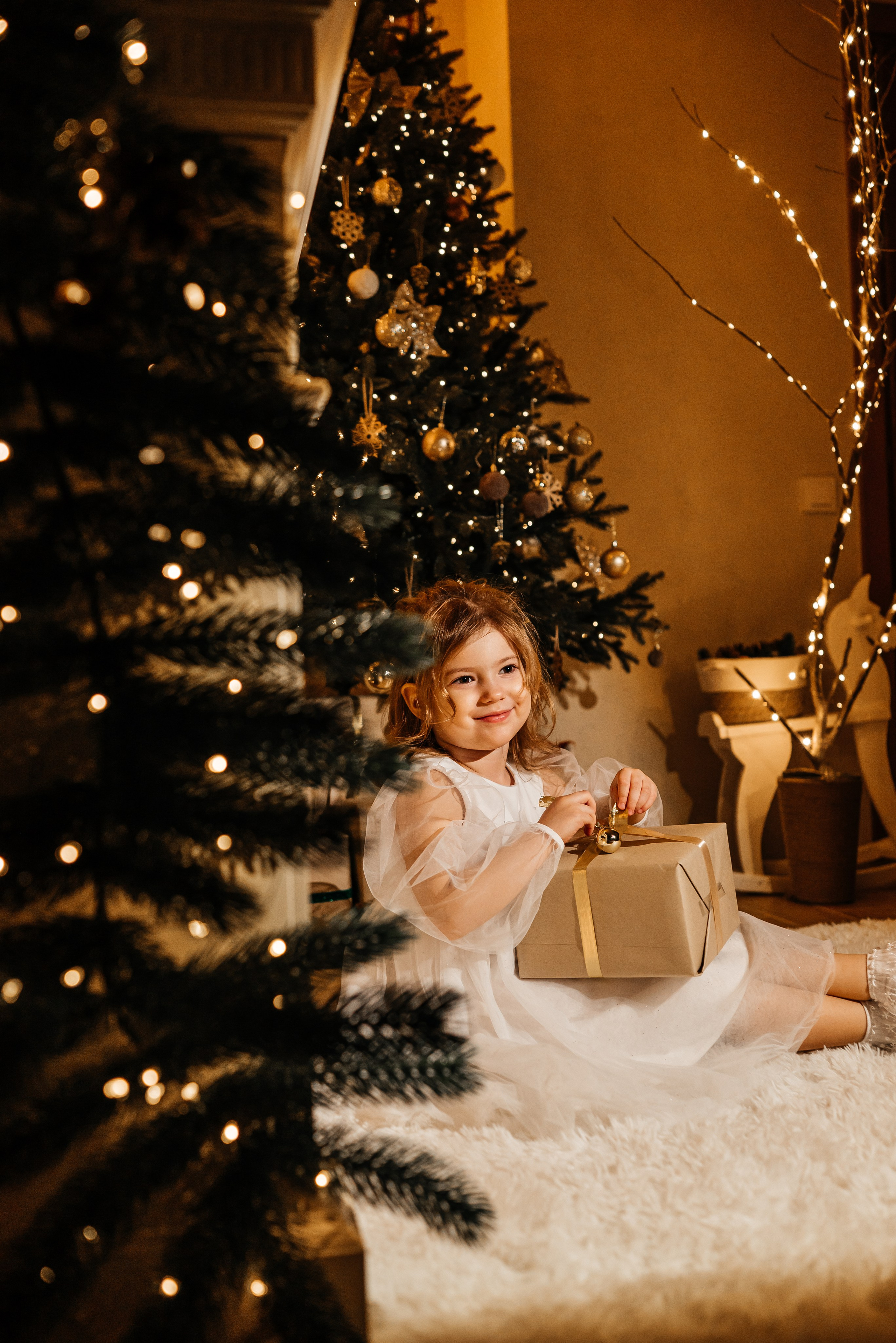 Новогодние фотосессии!. Фотограф в Каменске-Шахтинском Ольга Сагал