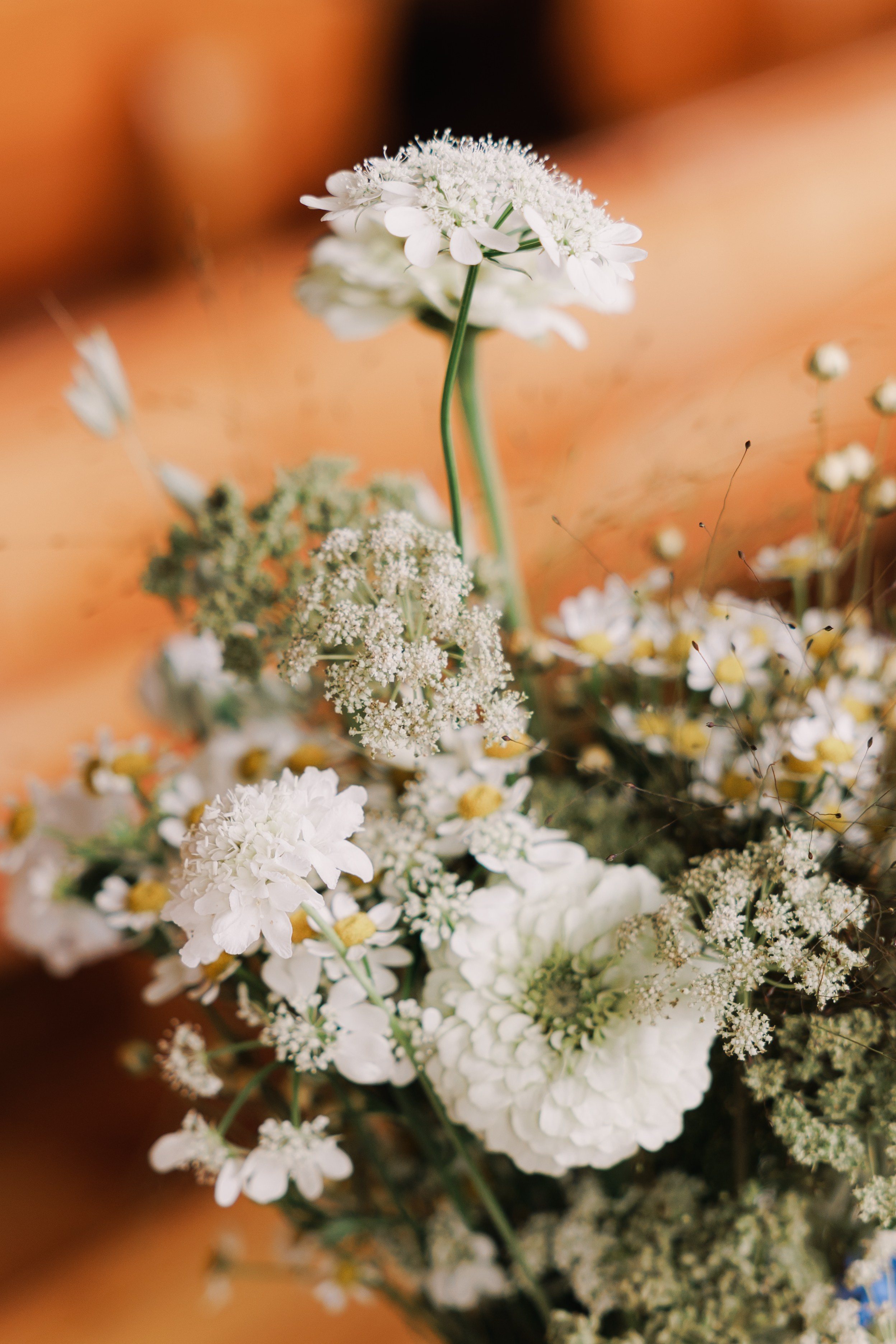 Artem & Viktoria. Wedding and family photographer in Moscow