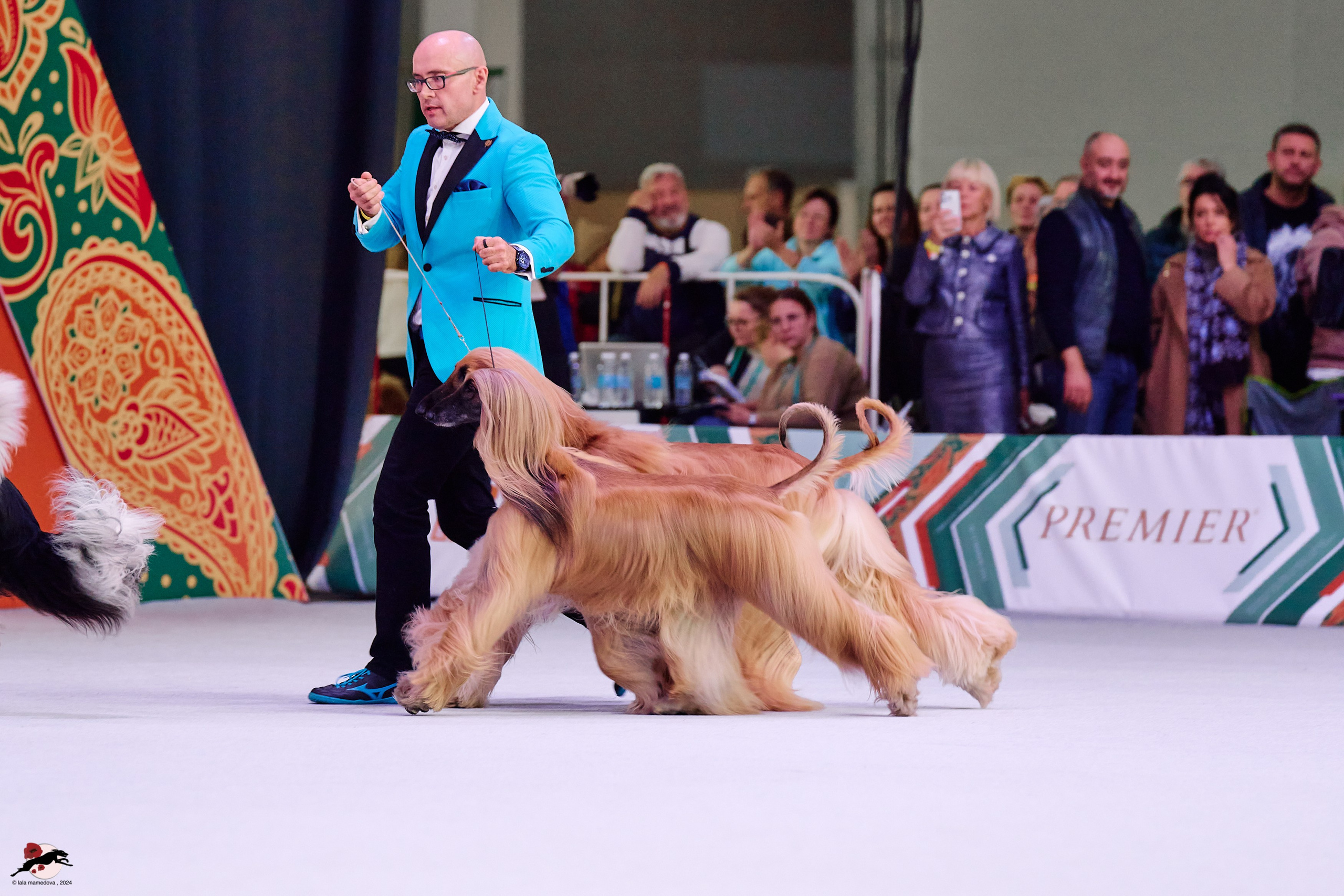 17.11.2024 «ЕВРАЗИЯ. КУБОК СНГ 2024»