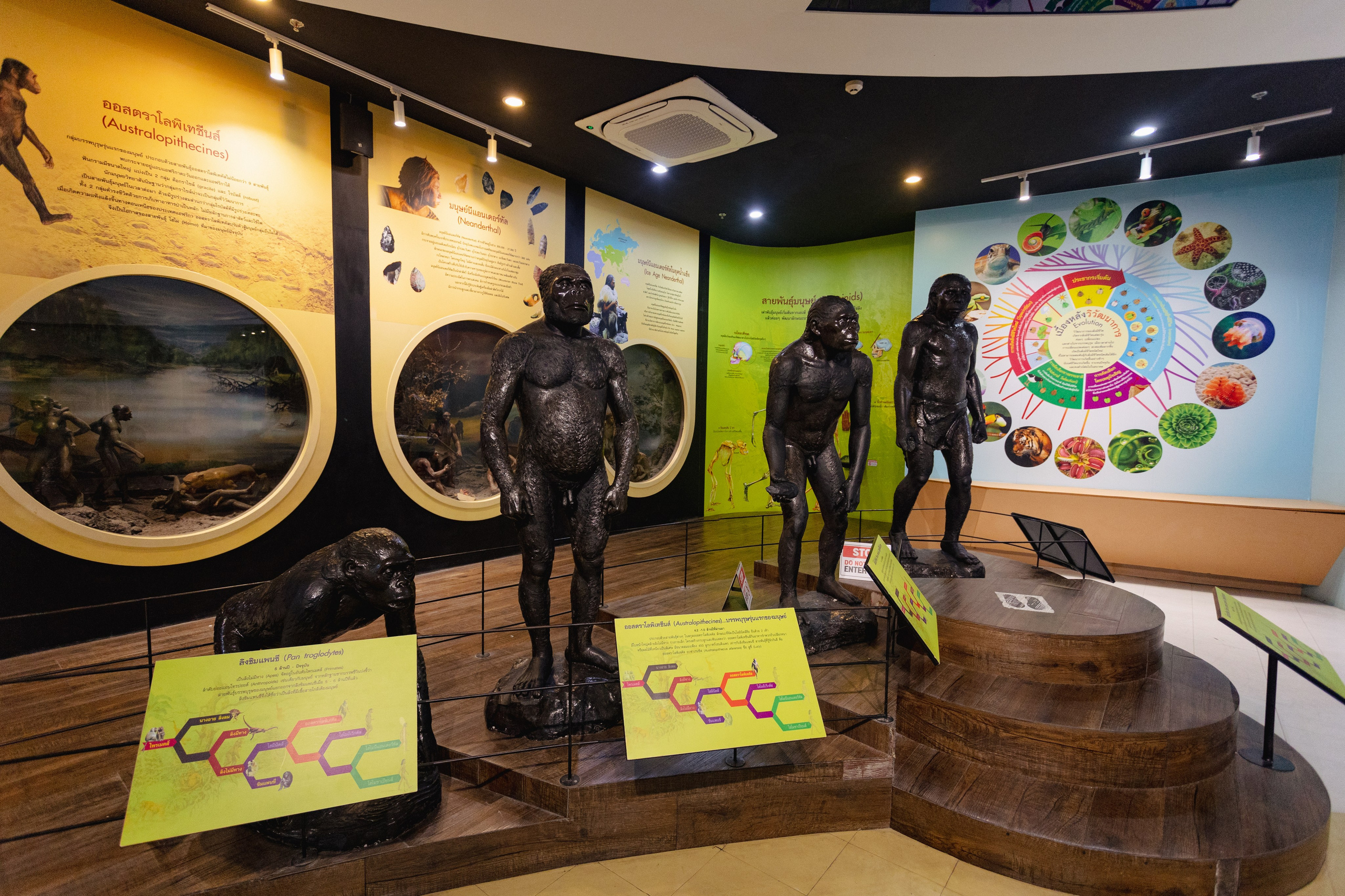 Bangkok Planetarium. Photographer Sonkina Tatiana (Tanya Ash)