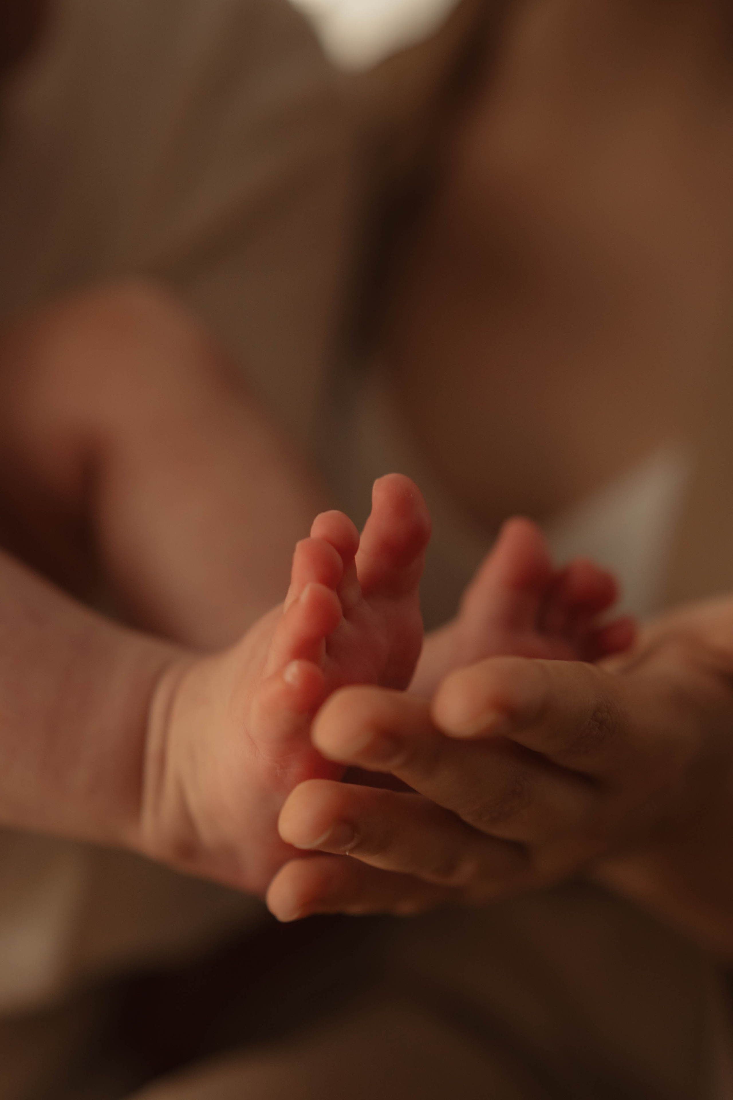 Анна, Кирилл и Кира. Фотограф в Новосибирске Диана Ильиных