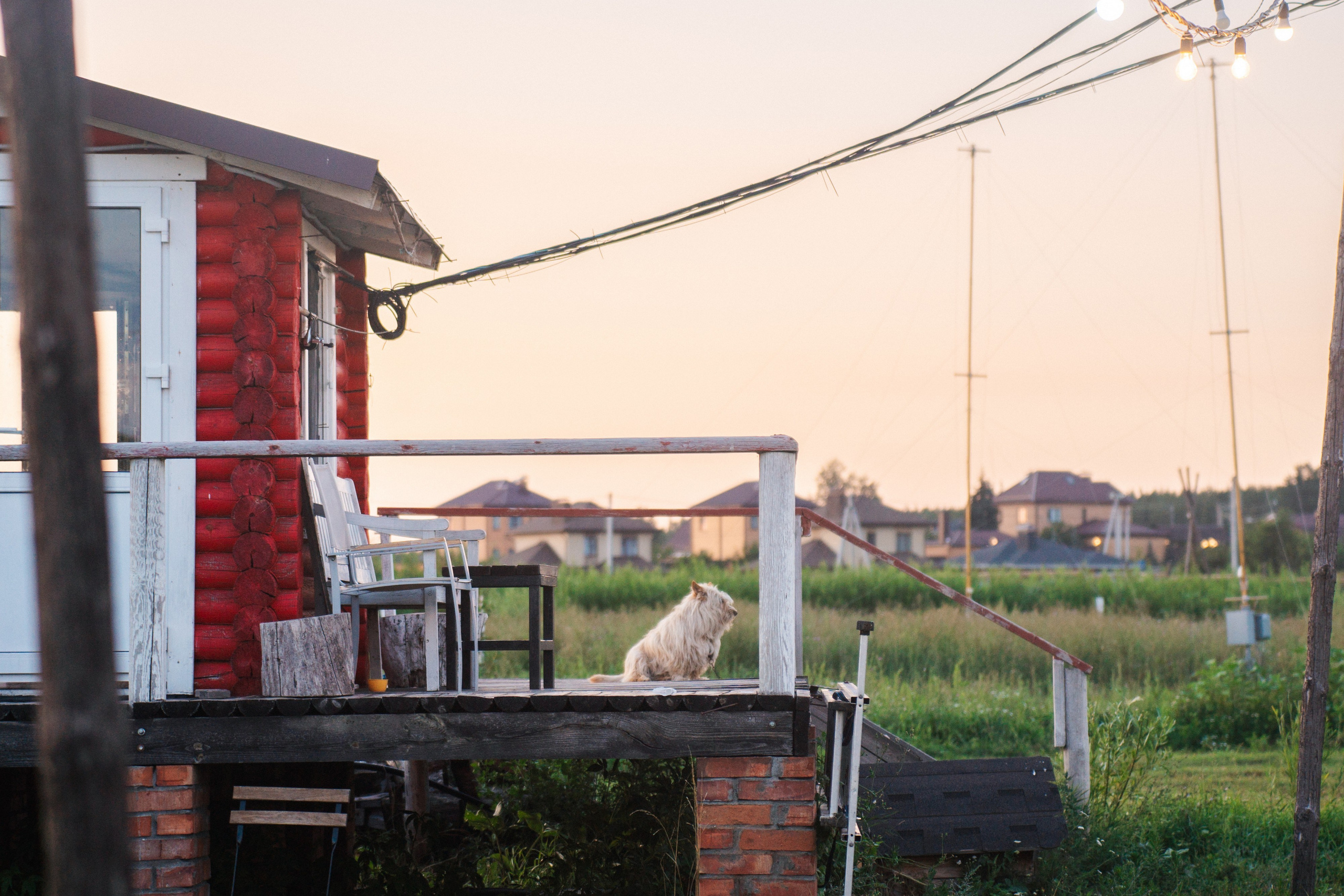 Девичник. Сыч. Фотограф в Воронеже Ольга Космодемьянская