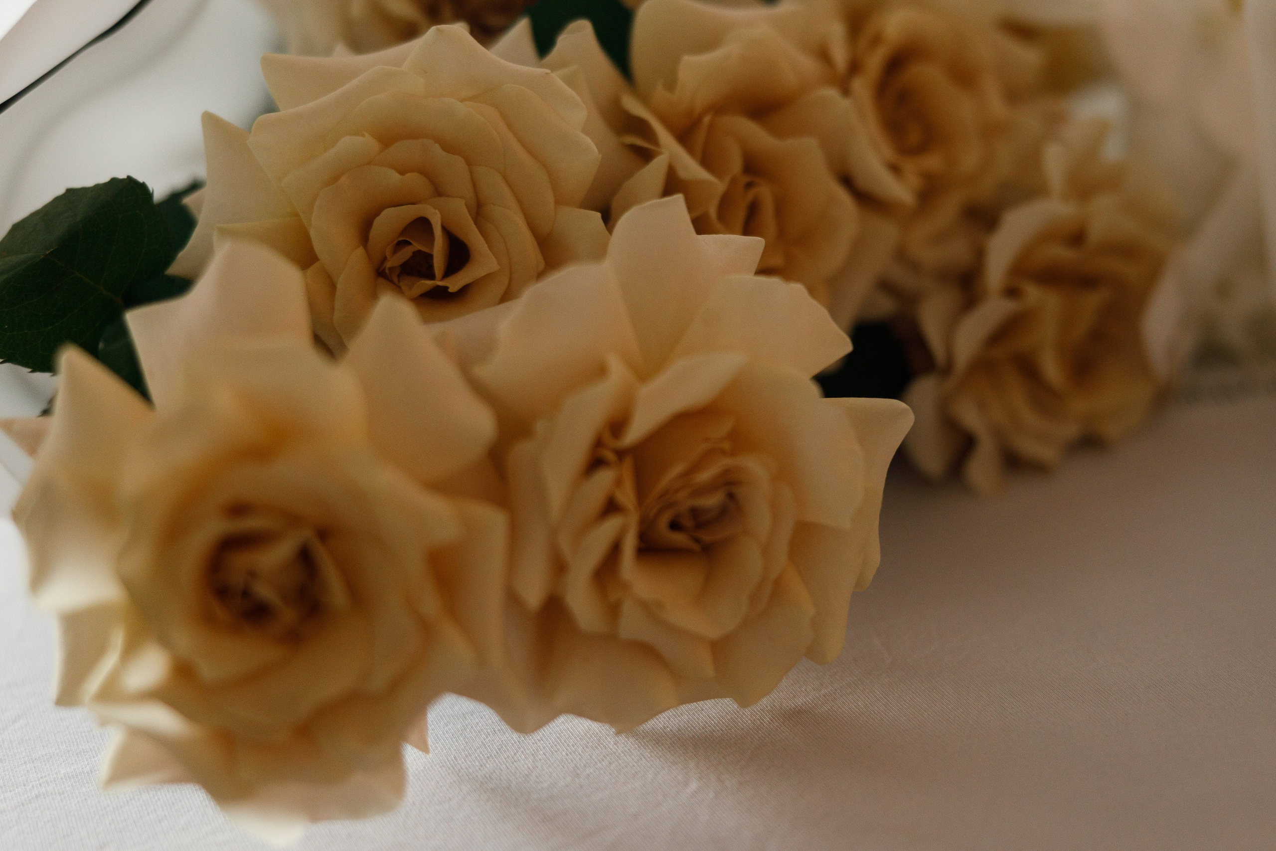 МИЛЛИОН НА РЕМОНТЕ. ВЫПУСКНОЙ. Свадебный и event-фотограф Иван Волнухин