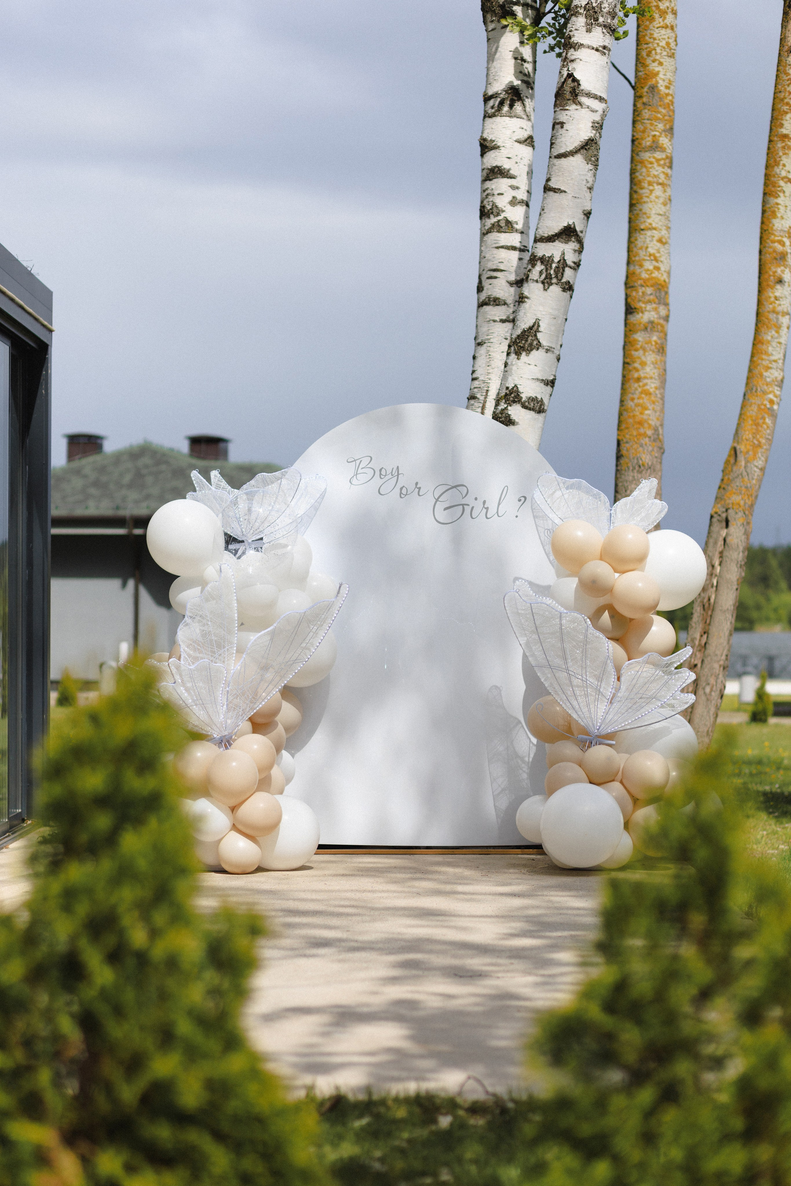 Валик & Настя | Gender Party. Свадебный фотограф в Минске Владислав Бабич