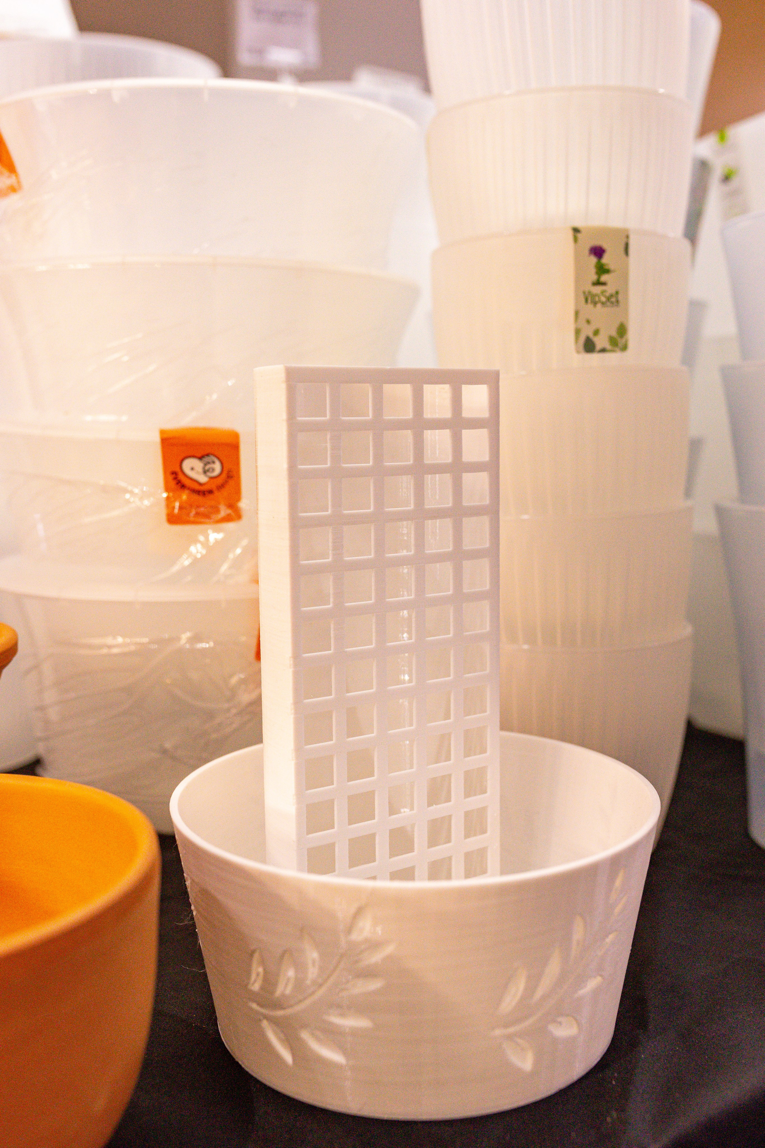 Монстериум 11–12 октября. Александра Куликова фотограф, Москва