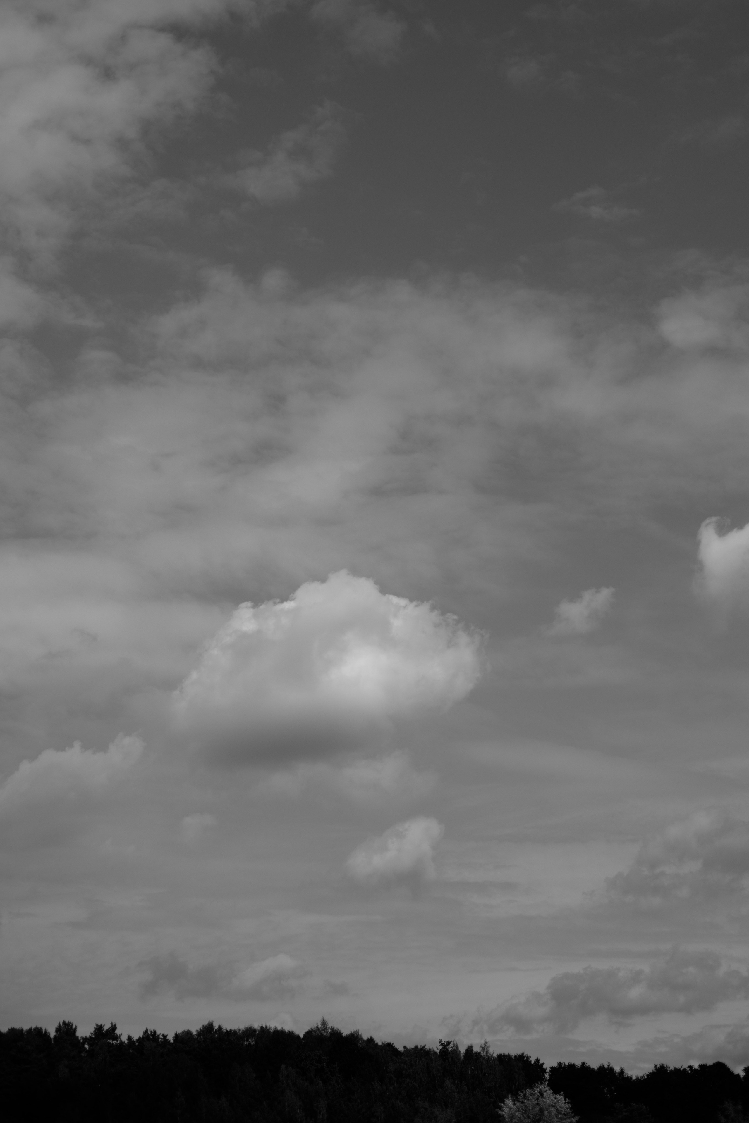 Пляж. Оформление свадеб, декор свадеб Вера Маркова, Москва