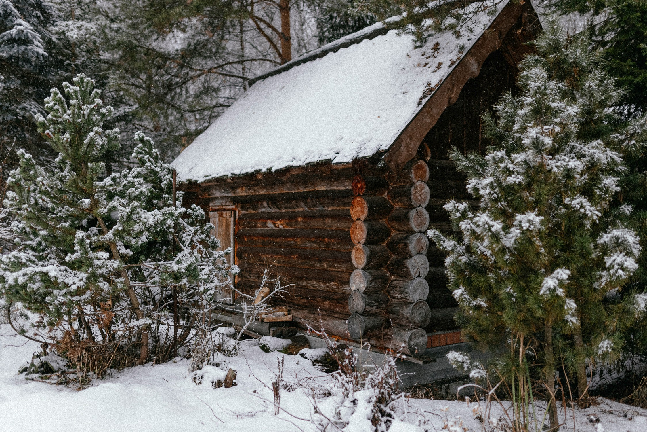 Зал «Сад» фотостудии «Зачарованный Сад» в Екатеринбурге — природная локация для фотосессий. Фотостудия «Зачарованный Сад» в 20 минутах от центра Екатеринбурга