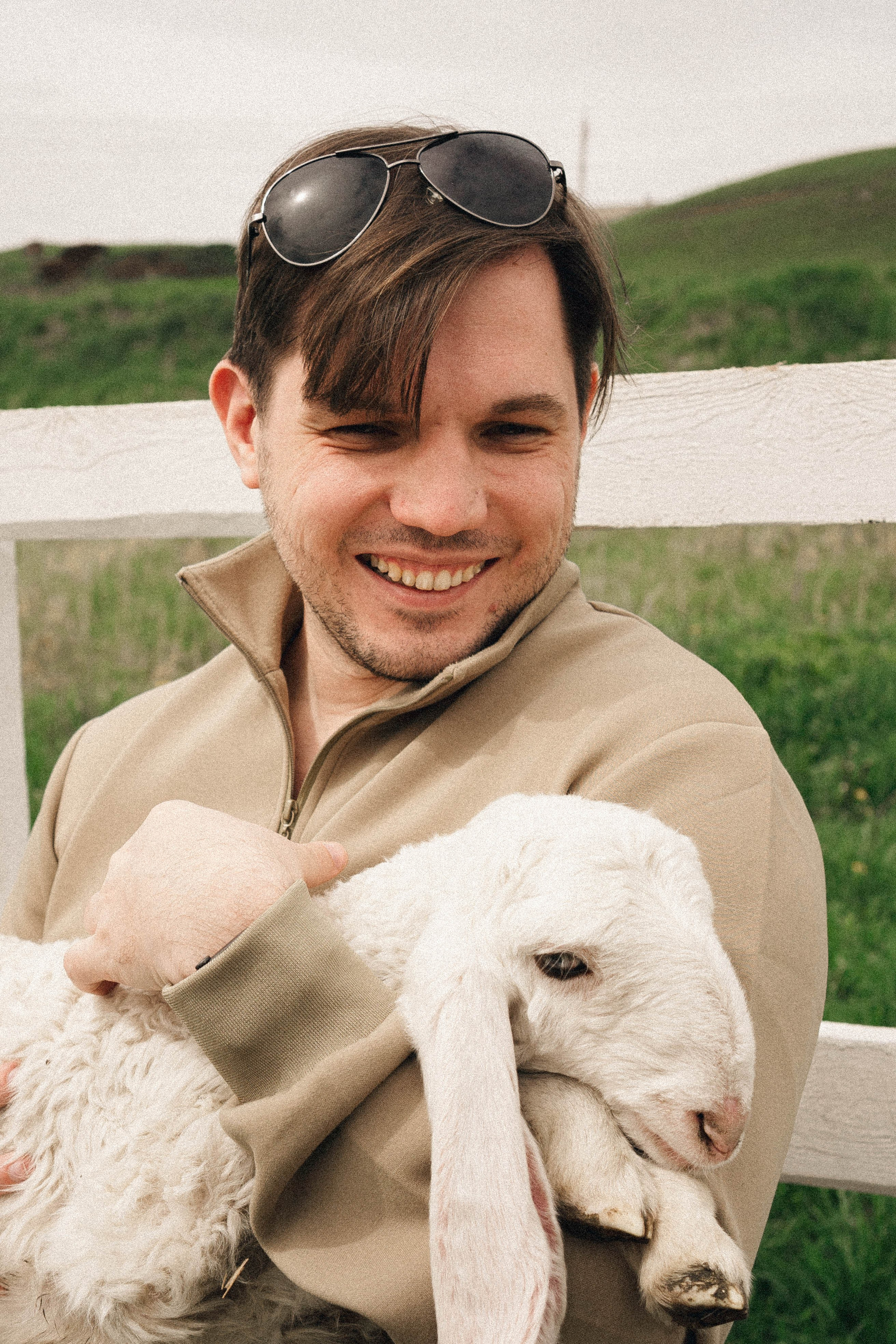 Ферма Альпак. Профессиональный фотограф, Санкт-Петербург — Виктория Богомолова