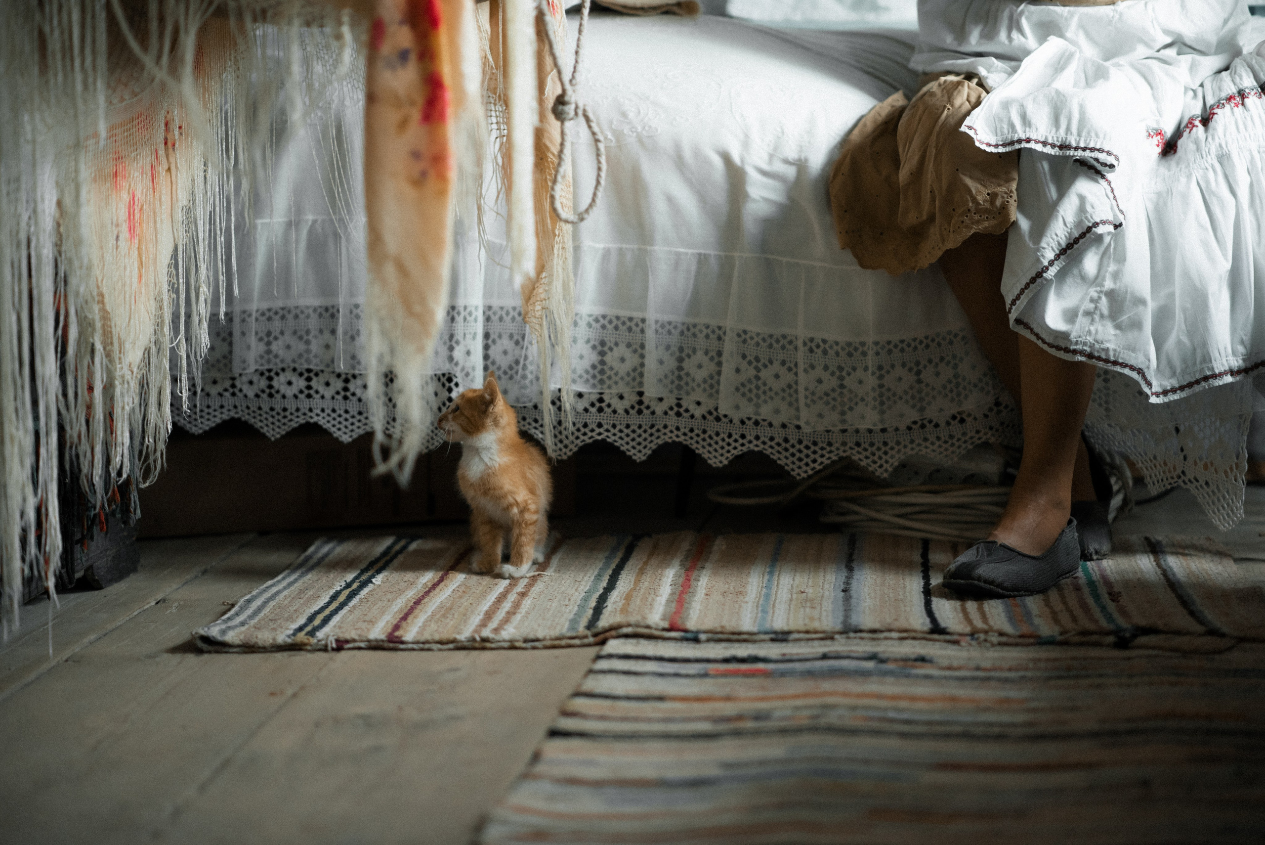 Дом, милый дом. Главная