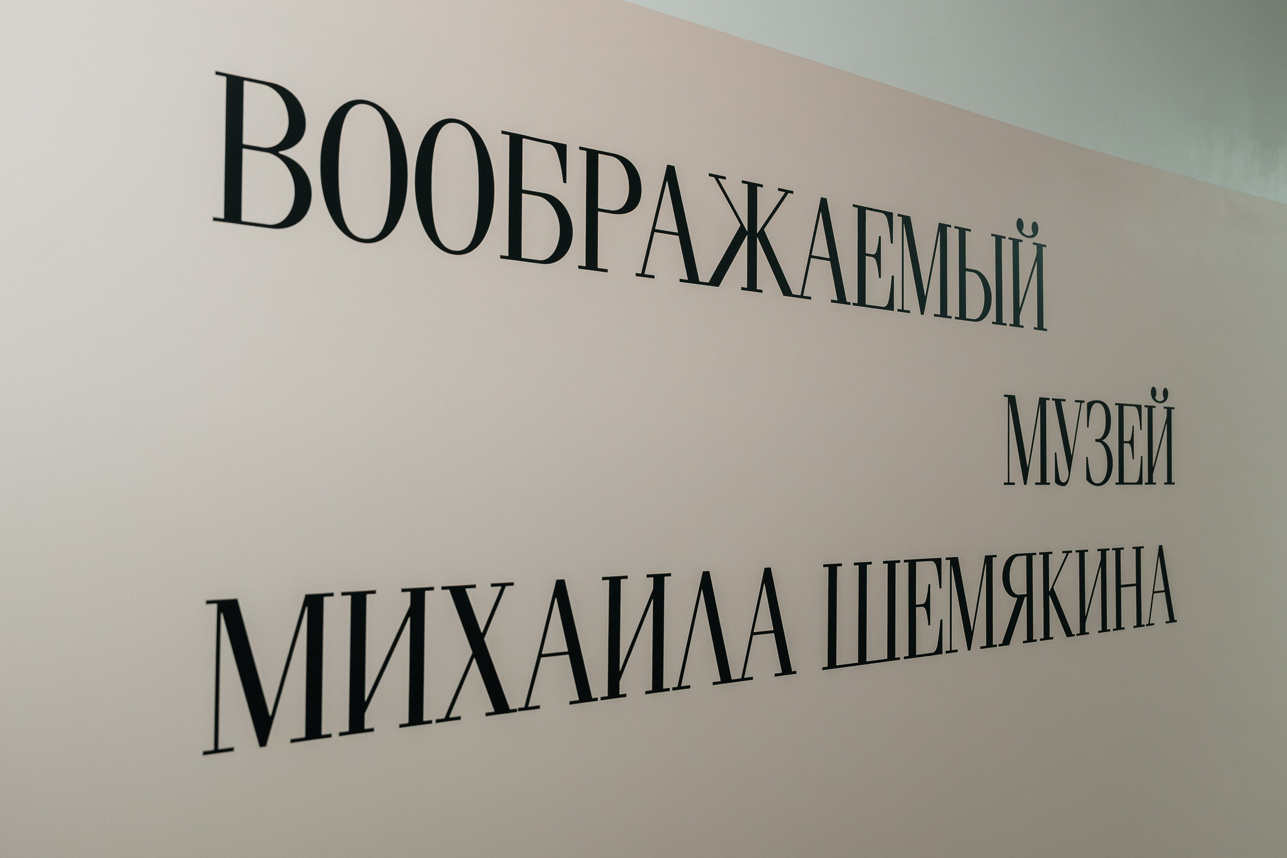 Открытие музея Михаила Шемякина В Вольгинске. Фотограф в Москве и Подмосковье — свадьбы и мероприятия | Алексей Сварог