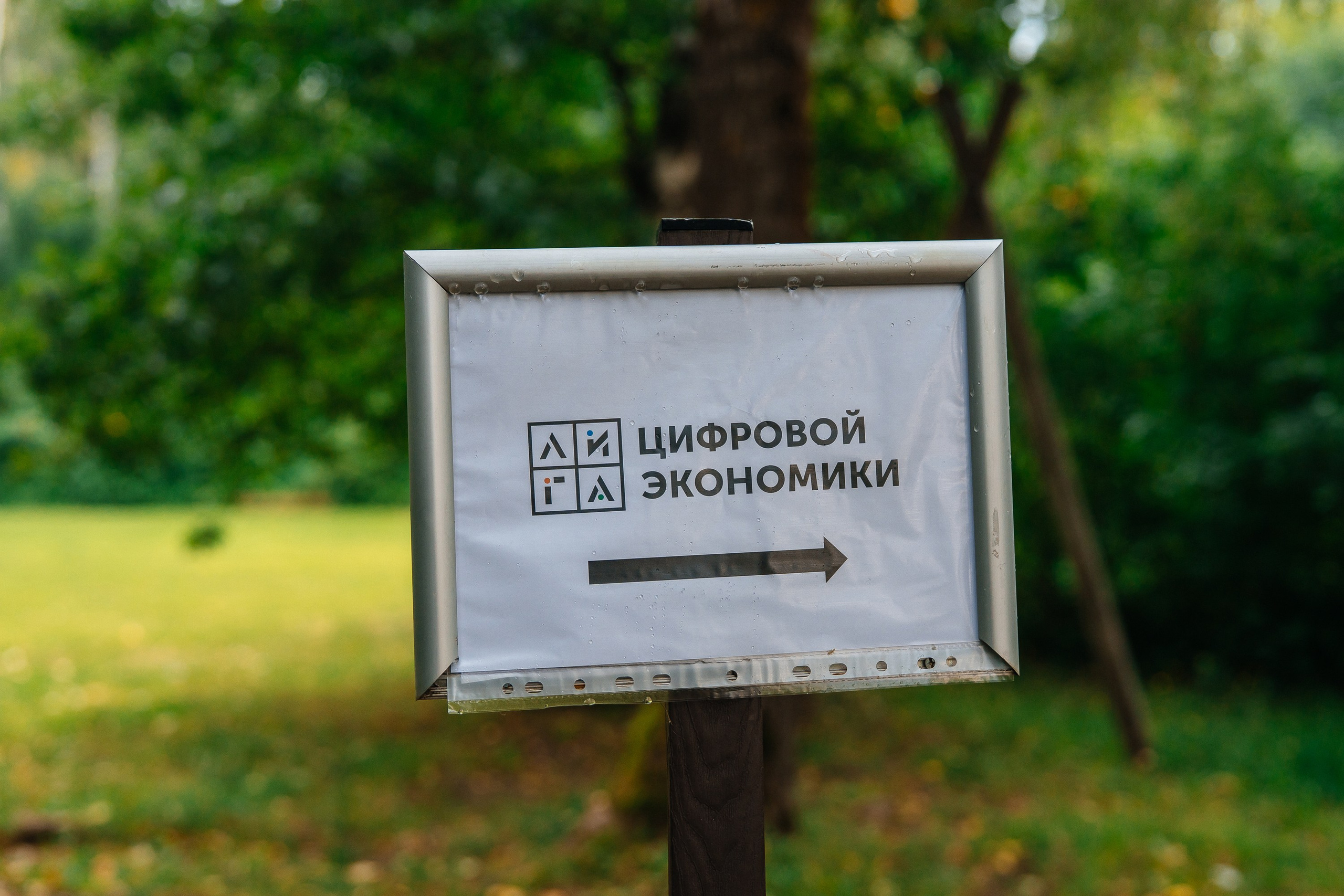 Тимбилдинг «ЛИГА» Цифровая экономика. Фотограф в Москве и Подмосковье — свадьбы и мероприятия | Алексей Сварог