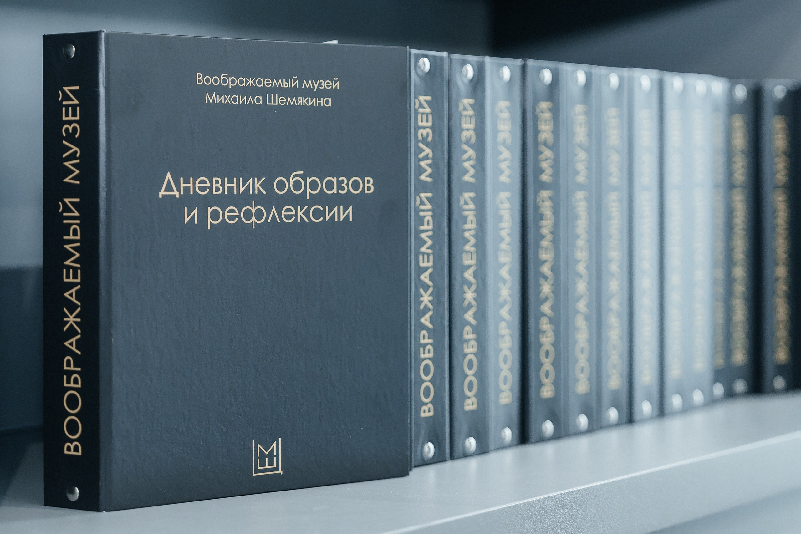 Открытие музея Михаила Шемякина В Вольгинске. Фотограф в Москве и Подмосковье — свадьбы и мероприятия | Алексей Сварог