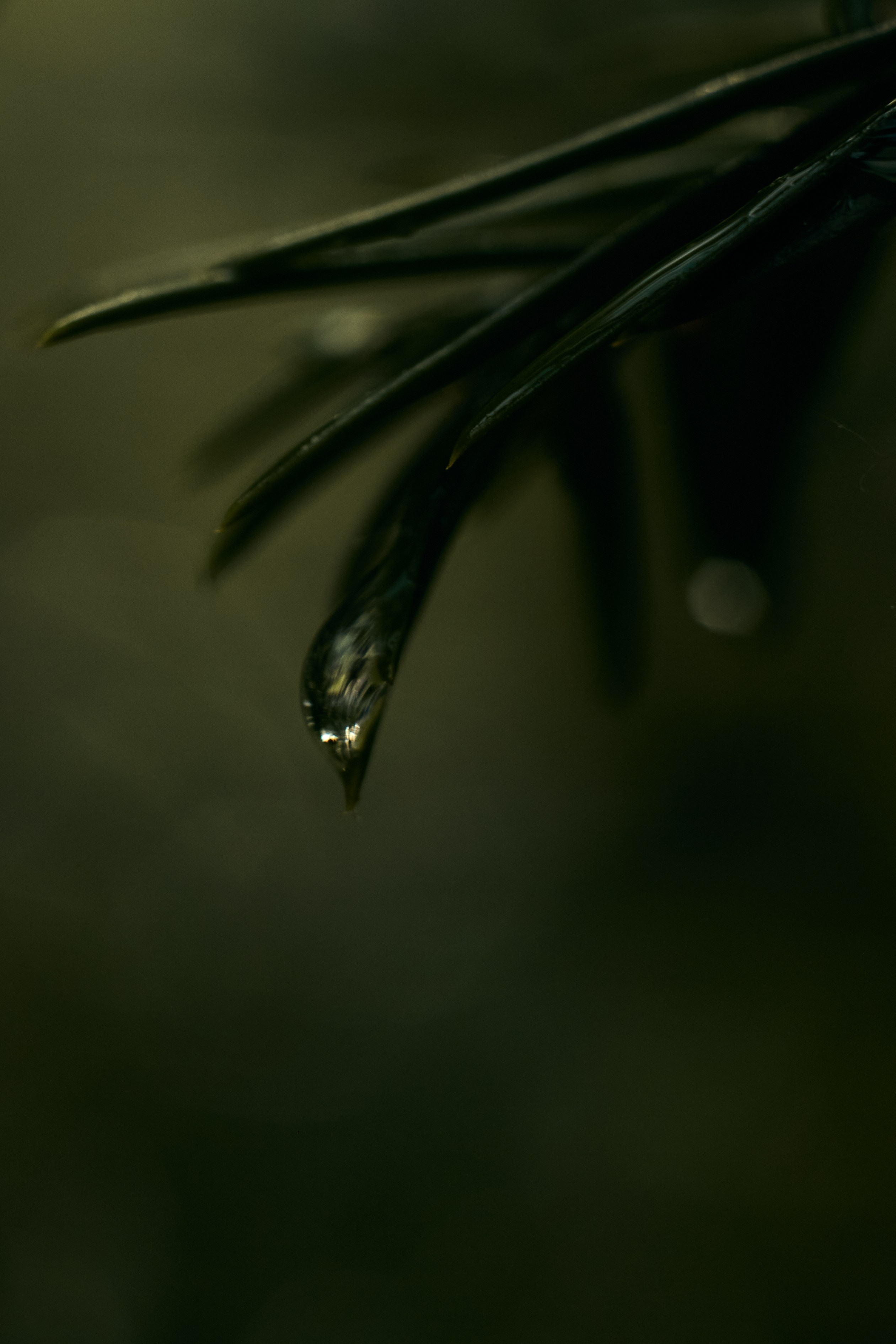 Art пейзаж. Фотограф Анастасия Федорова  Санкт-Петербург