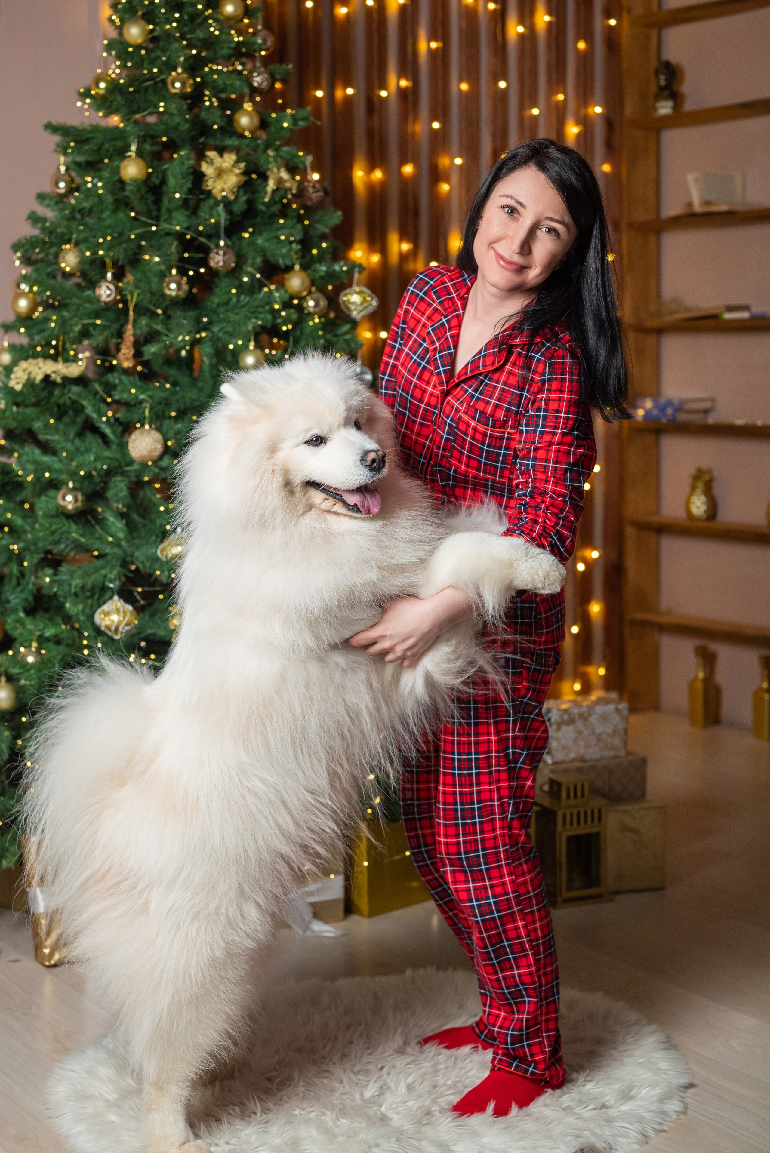 Фотопроект с самоедом 2023 г. Фотограф в городе Салават