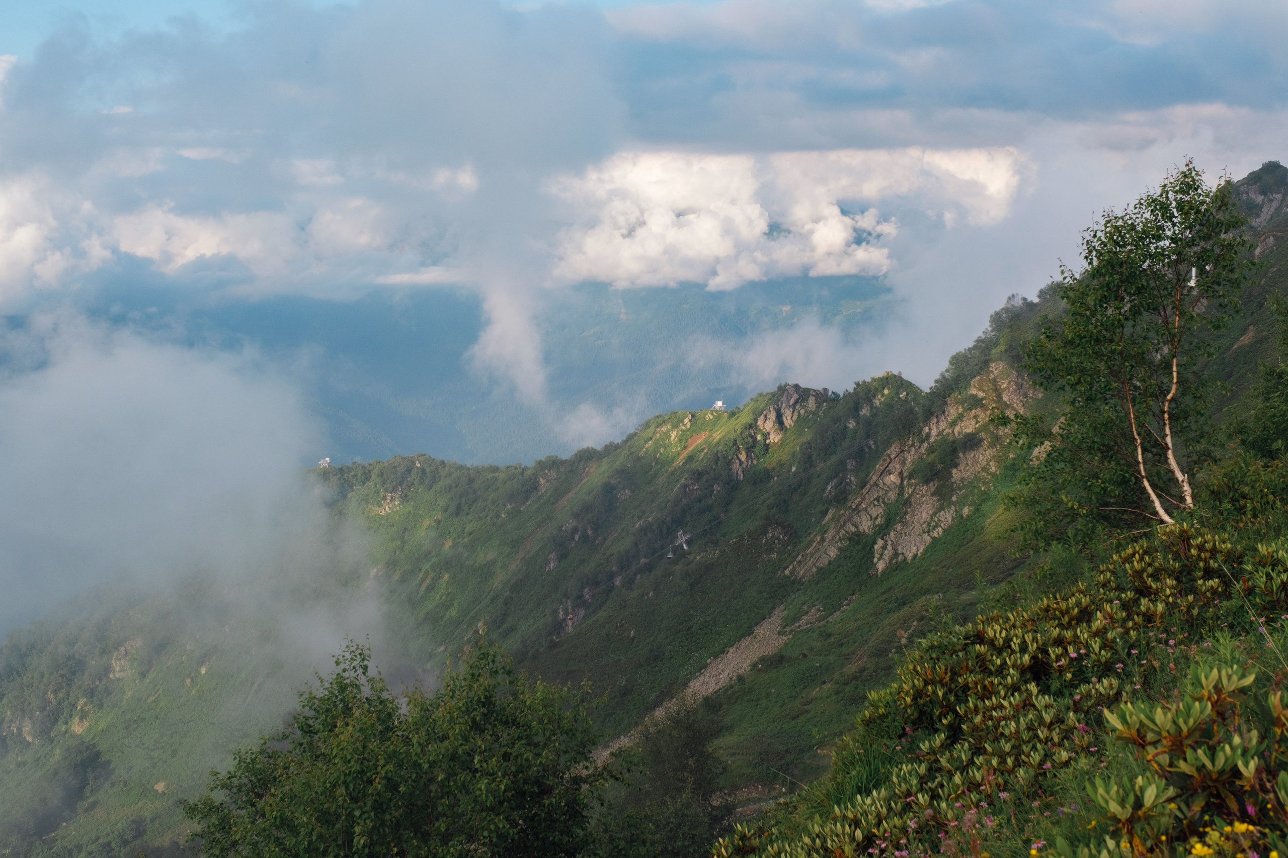 Оля / Слава. Свадебный Видеограф Фотограф в Сочи