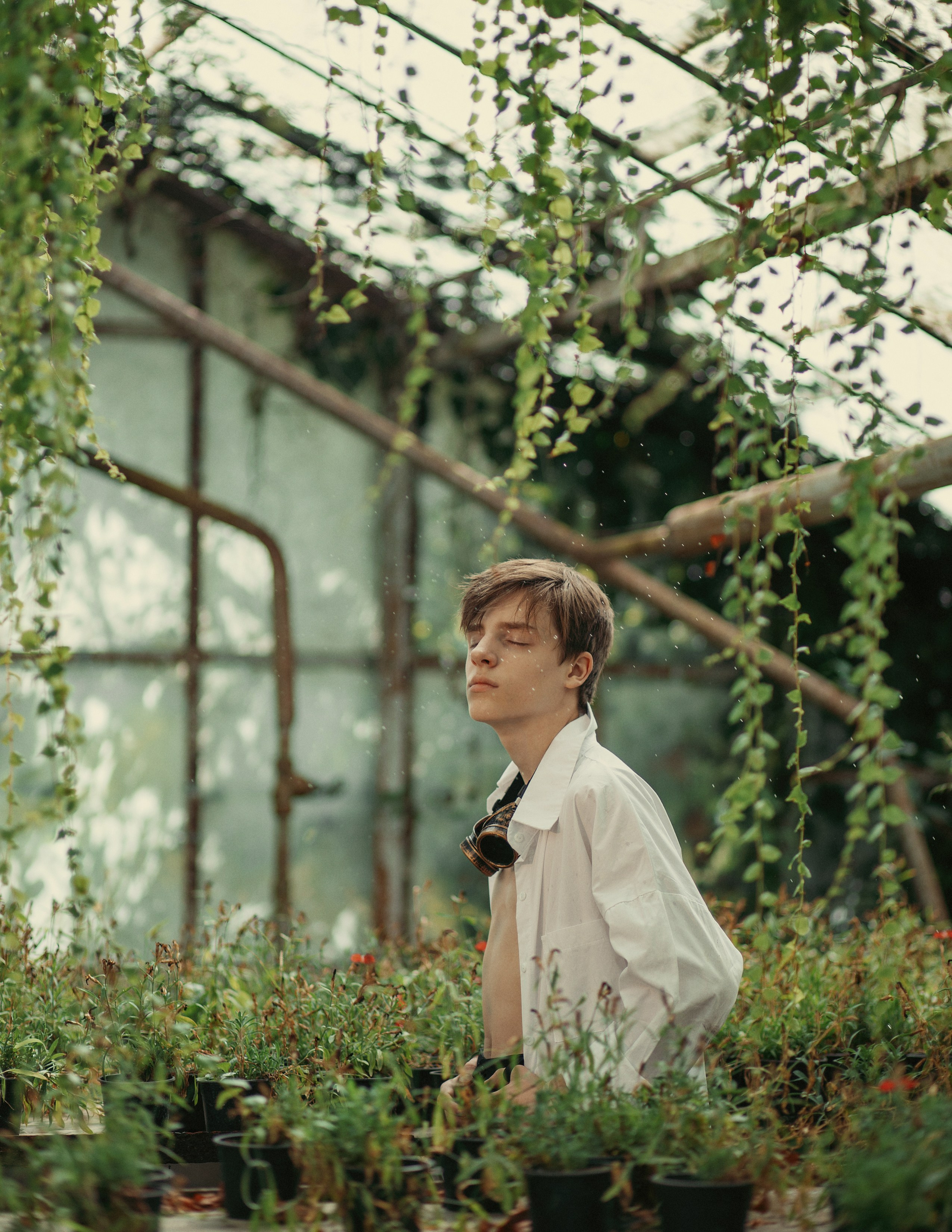 Теплица мацеста. Фотограф Сочи Татьяна Зорина