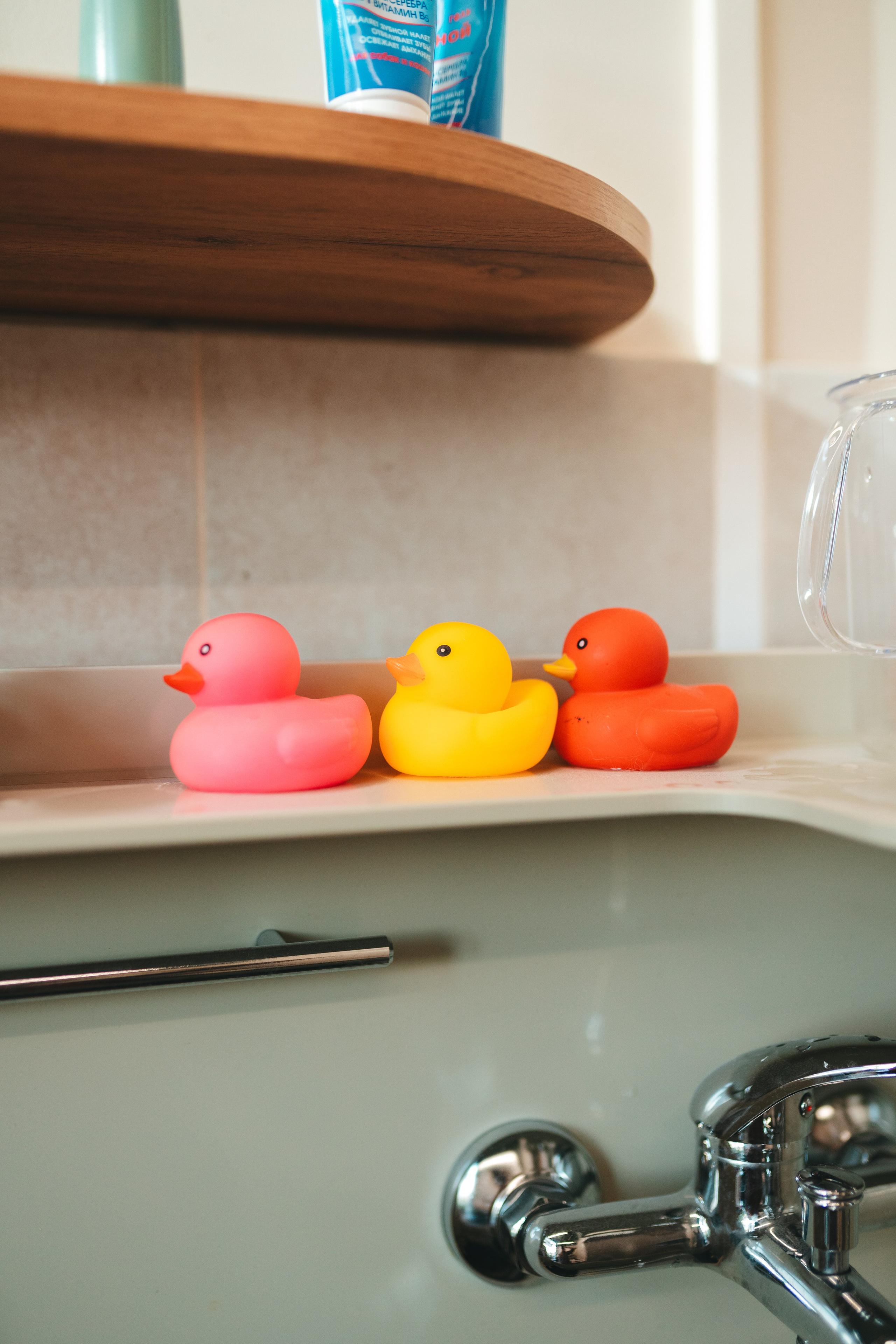 Груминг — салон. Фотограф анималист Осипчикова Мария