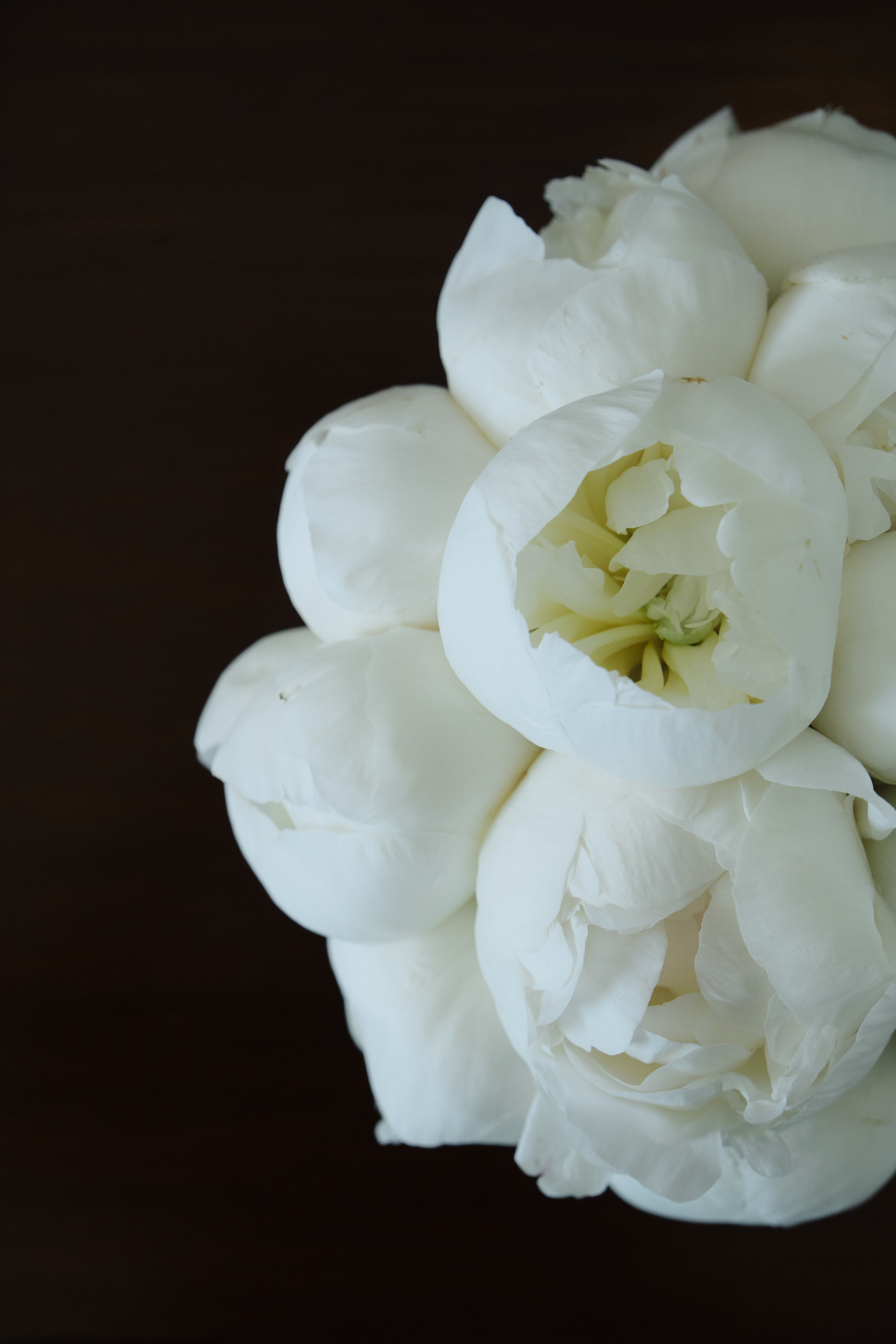 Екатерина и Максим. Фотограф в Москве и Санкт-Петербурге