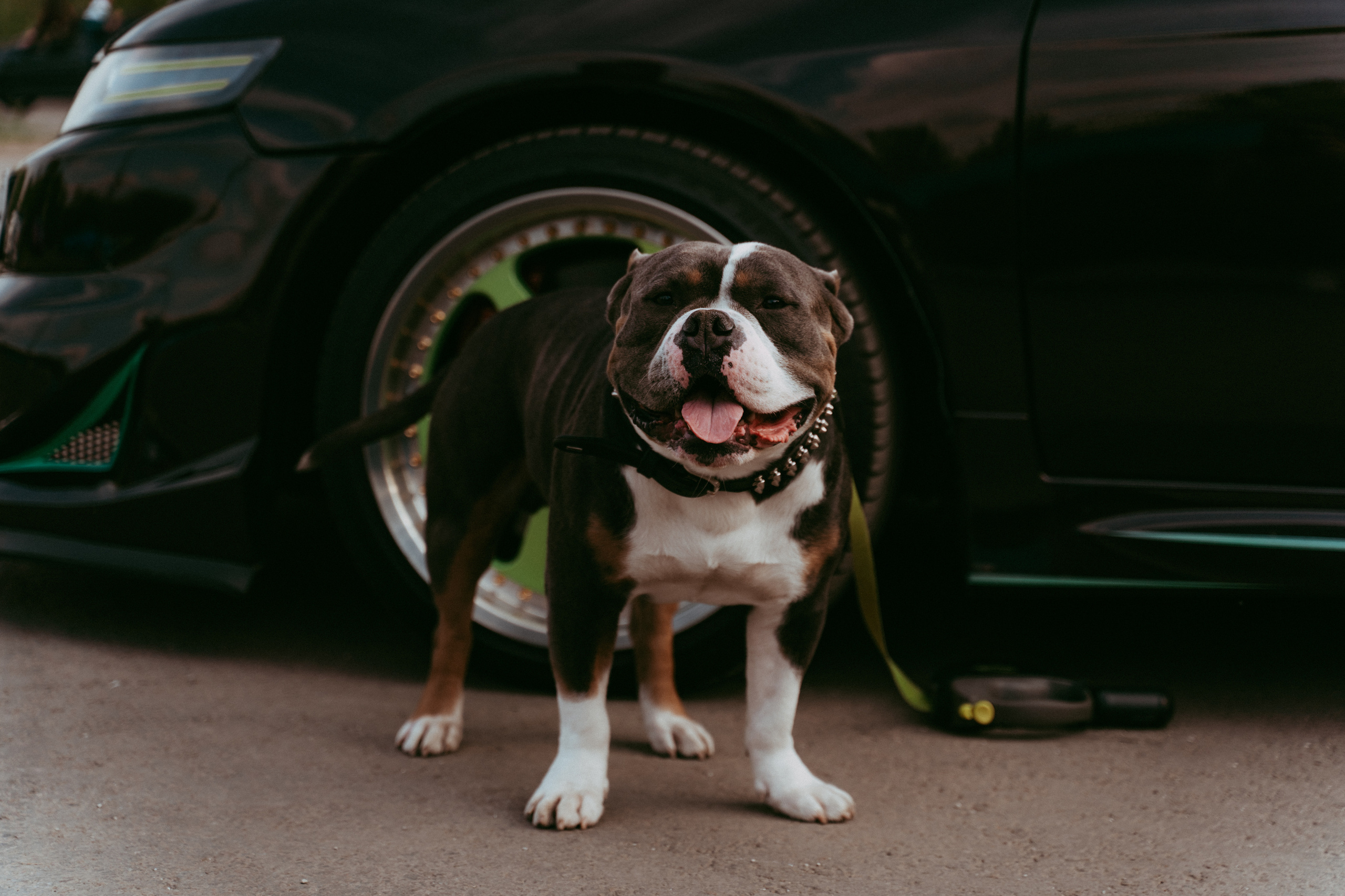 Photos from the car. Фотограф Москва