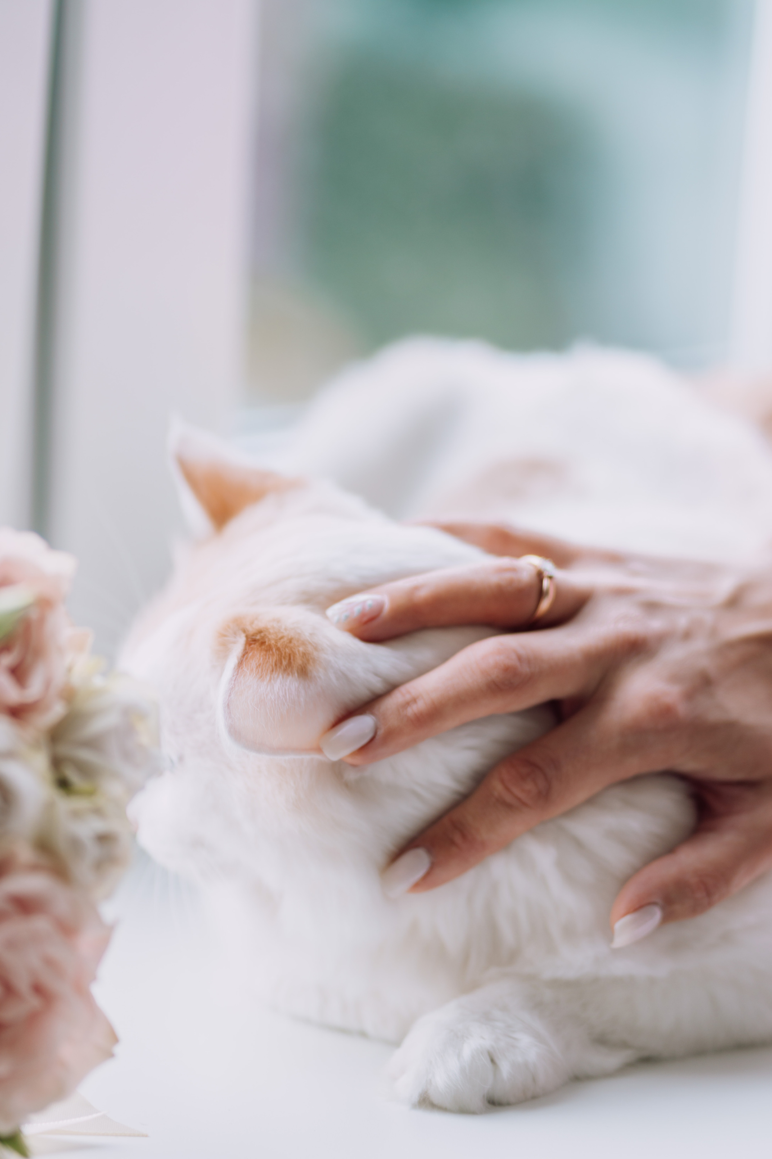 Свадьба Оксаны и Жени. Фотограф Москва