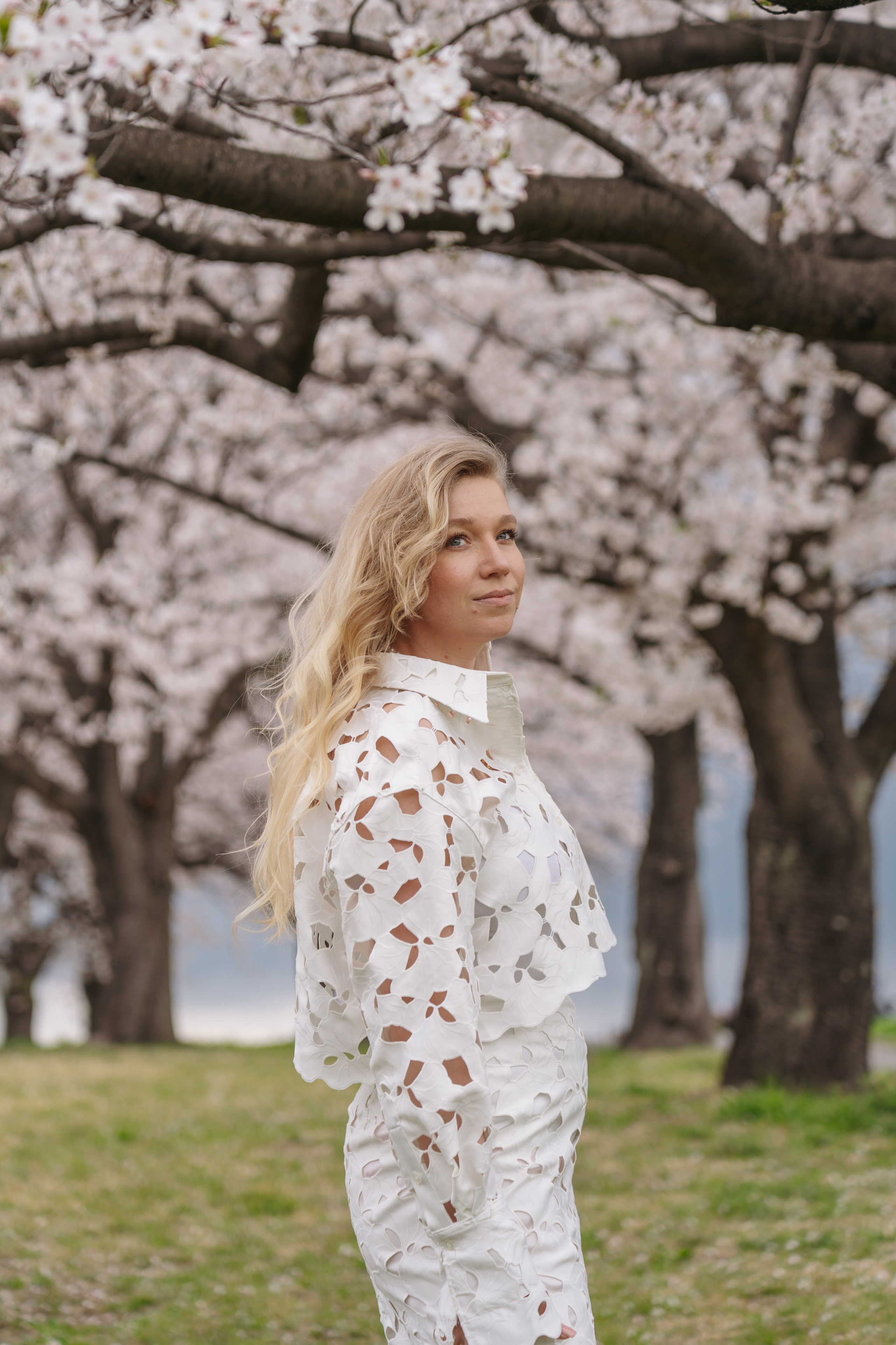 Sakura. Фотограф Алина Диева Москва | Токио