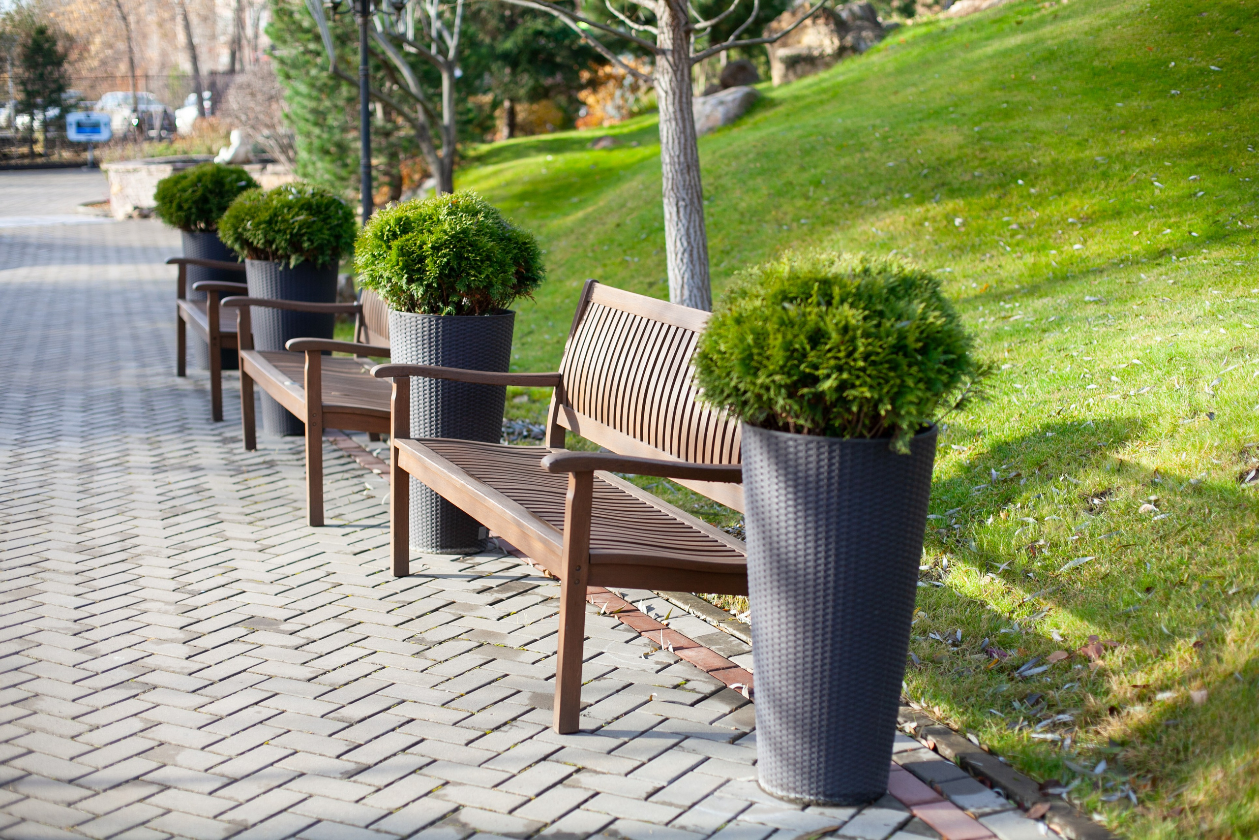 Сады Мечты. Контент для сайта. Фотограф Дарья Локотко в Красноярске