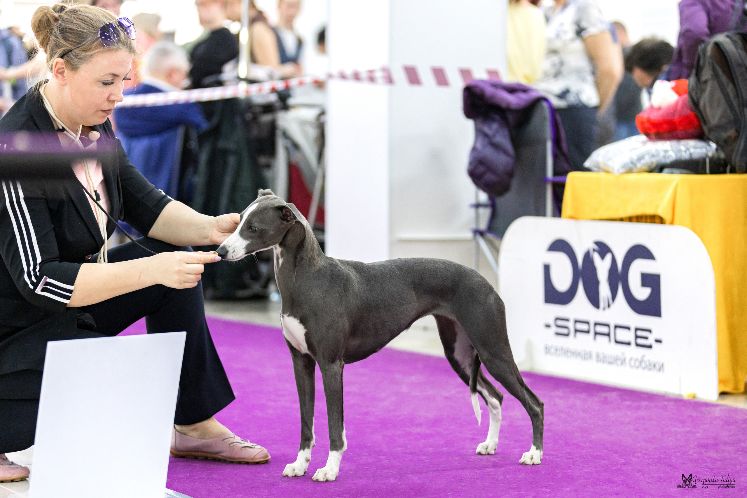 Сфера+МД 8-9.04.2023. Фотограф-анималист Юлия Германика