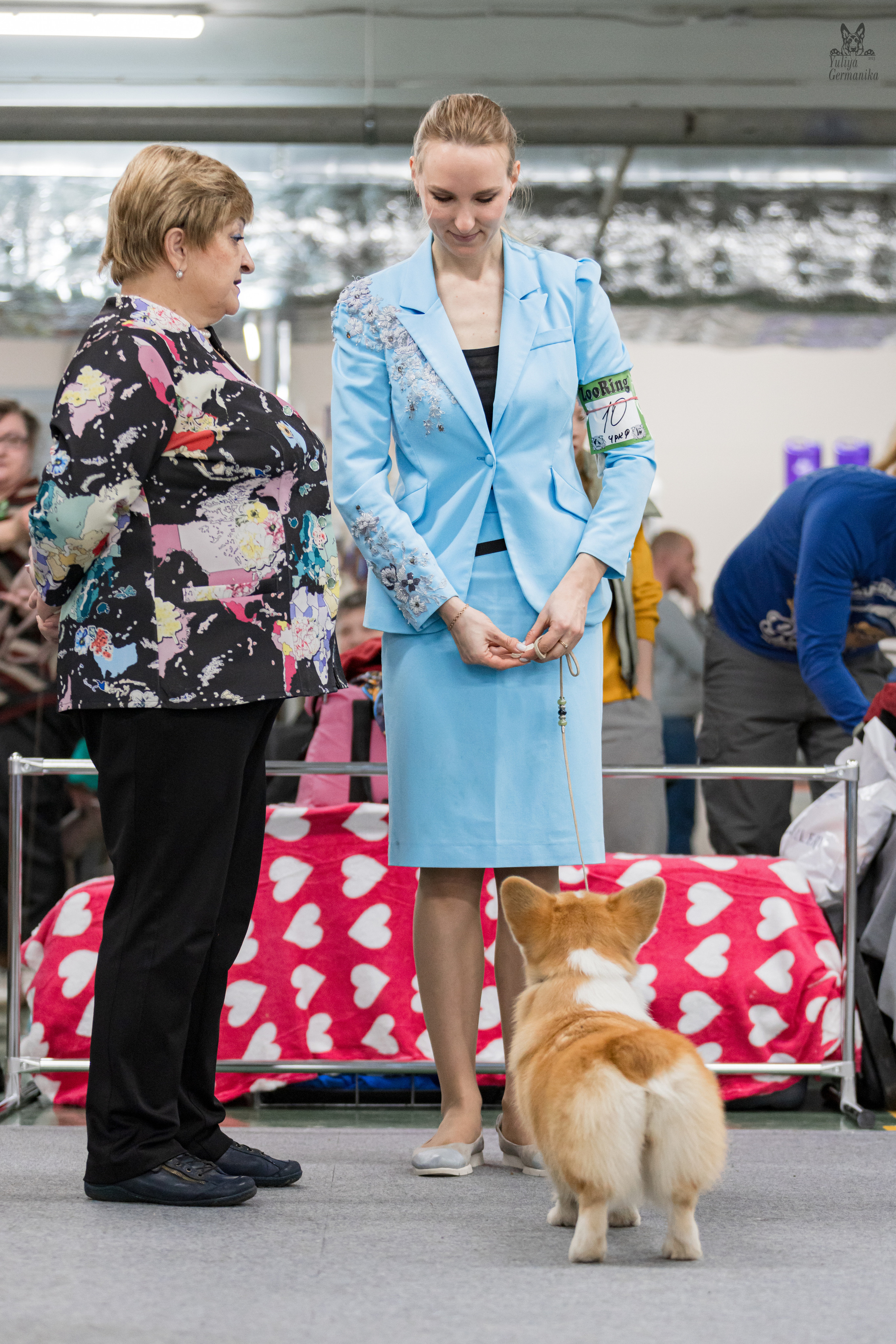 Сфера 25-26.03.2023. Фотограф-анималист Юлия Германика