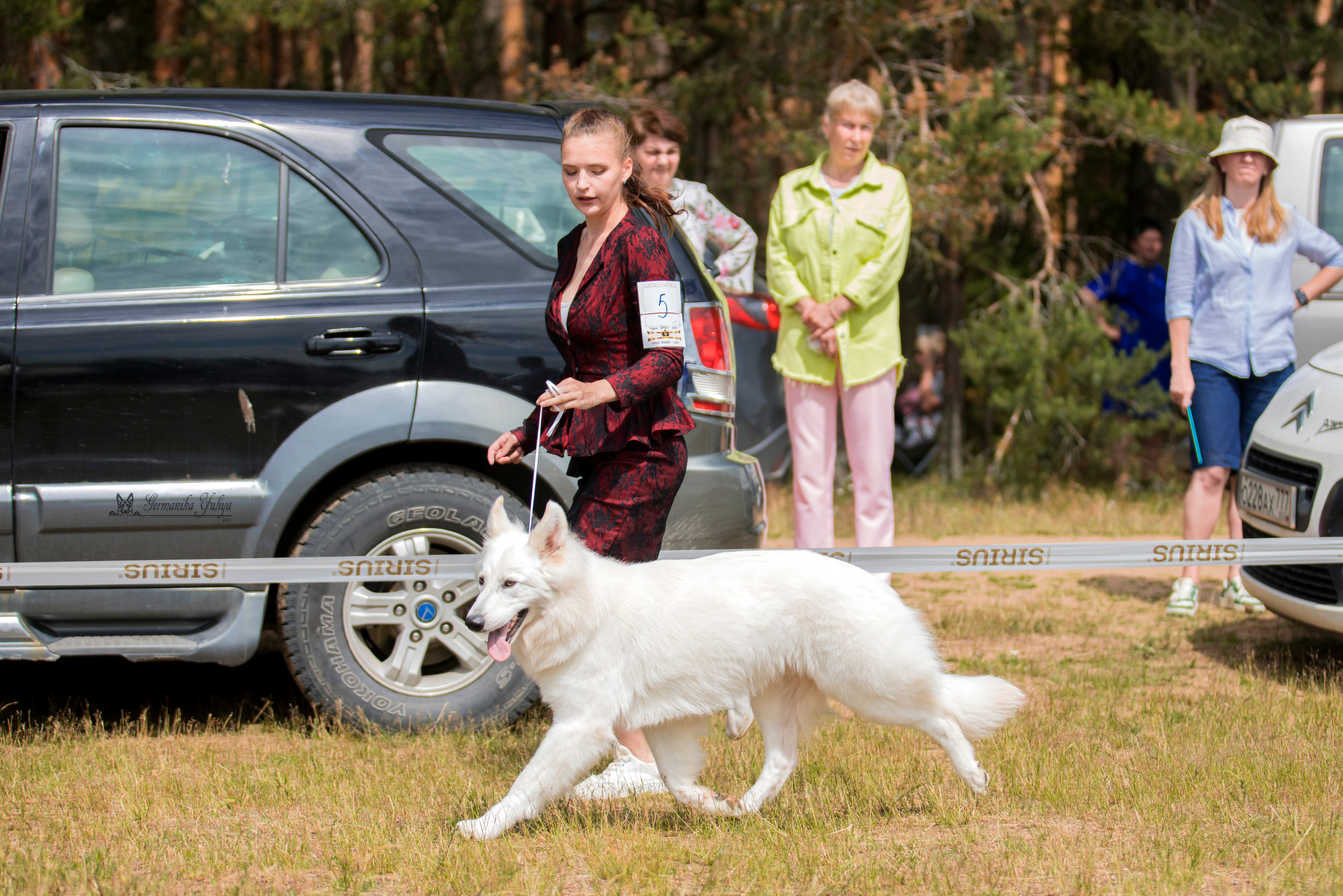 Волжанка 8.07.2023. Фотограф-анималист Юлия Германика