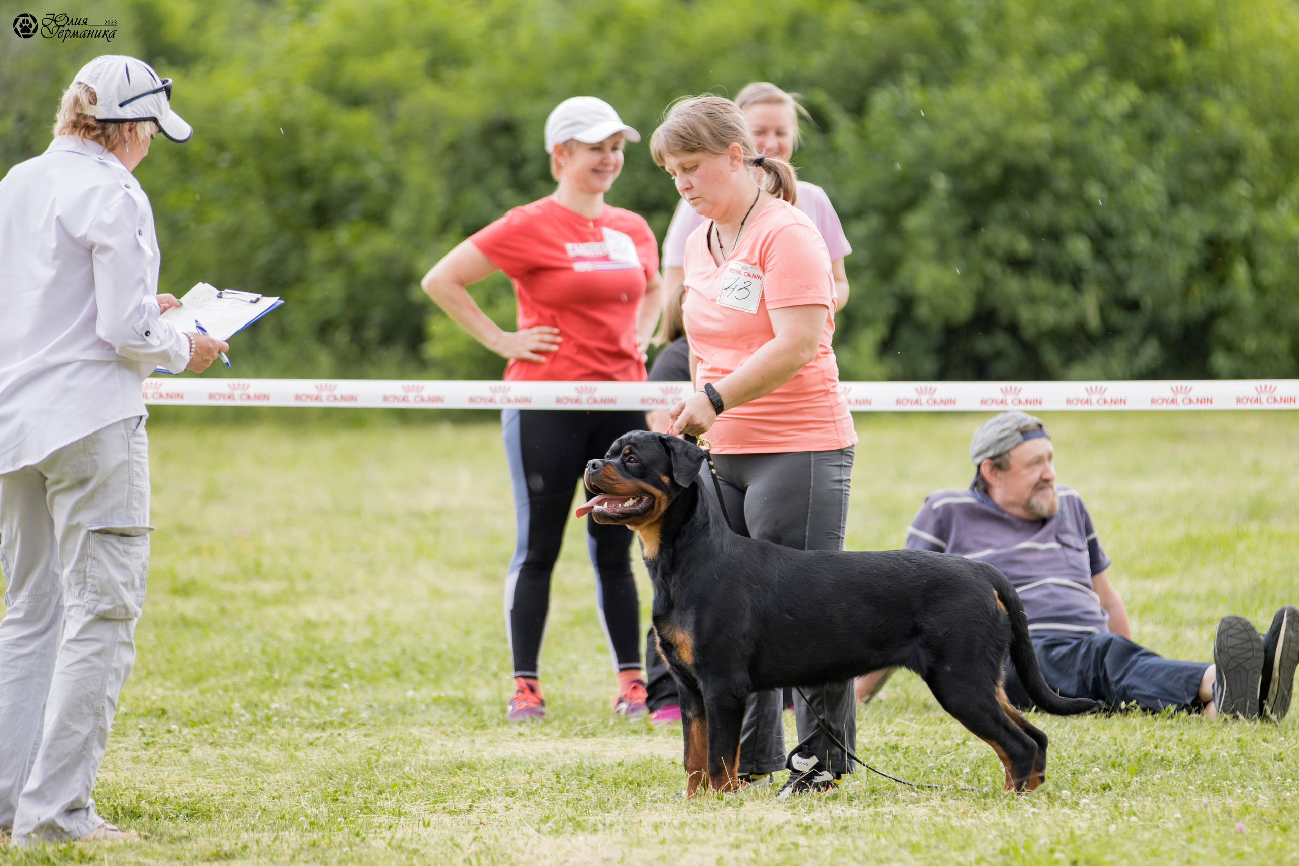 Воронеж 2хмоно ротвейлеров 3-4.06.2023. Фотограф-анималист Юлия Германика