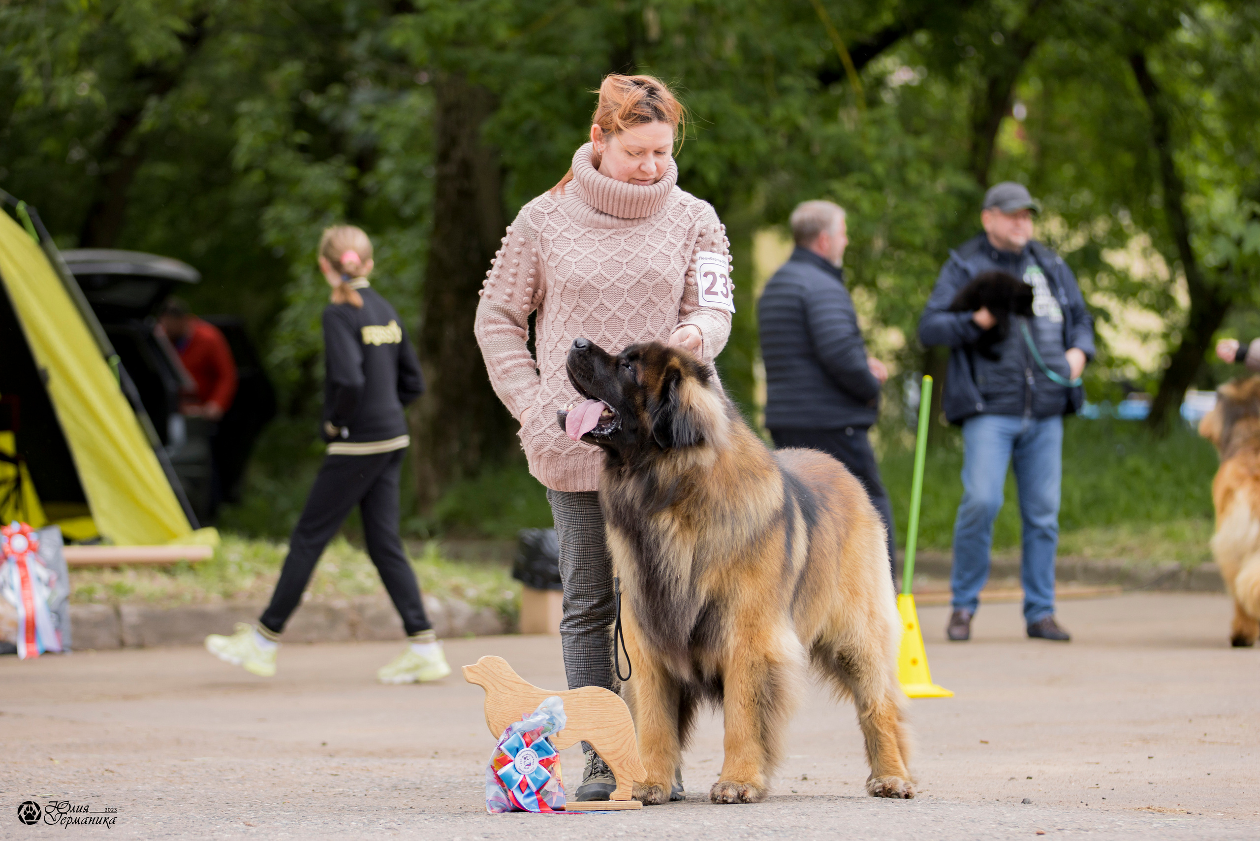 Националка Леонбергеров 28.05.2023. Фотограф-анималист Юлия Германика
