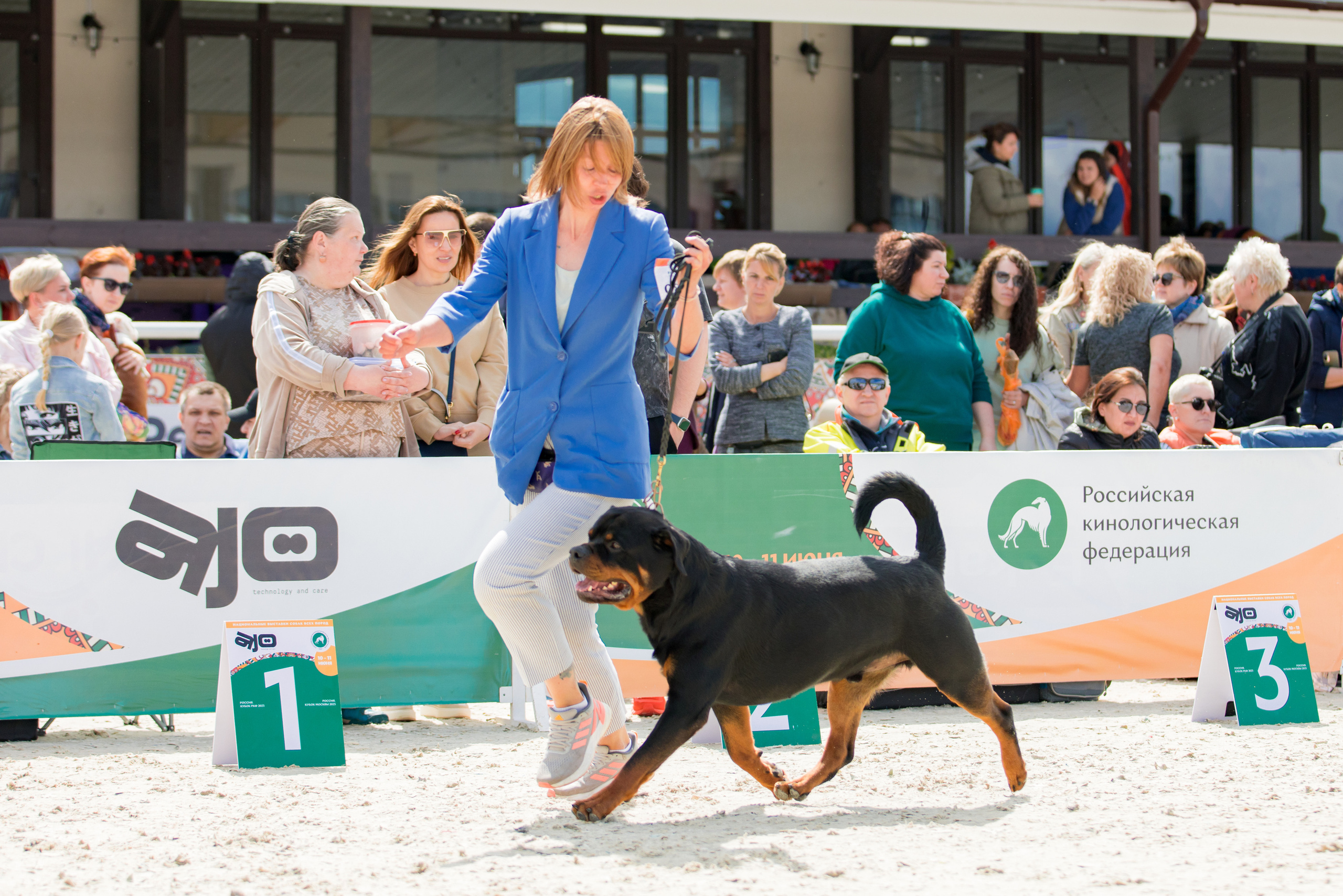 Россия 10-11.06.2023. Фотограф-анималист Юлия Германика