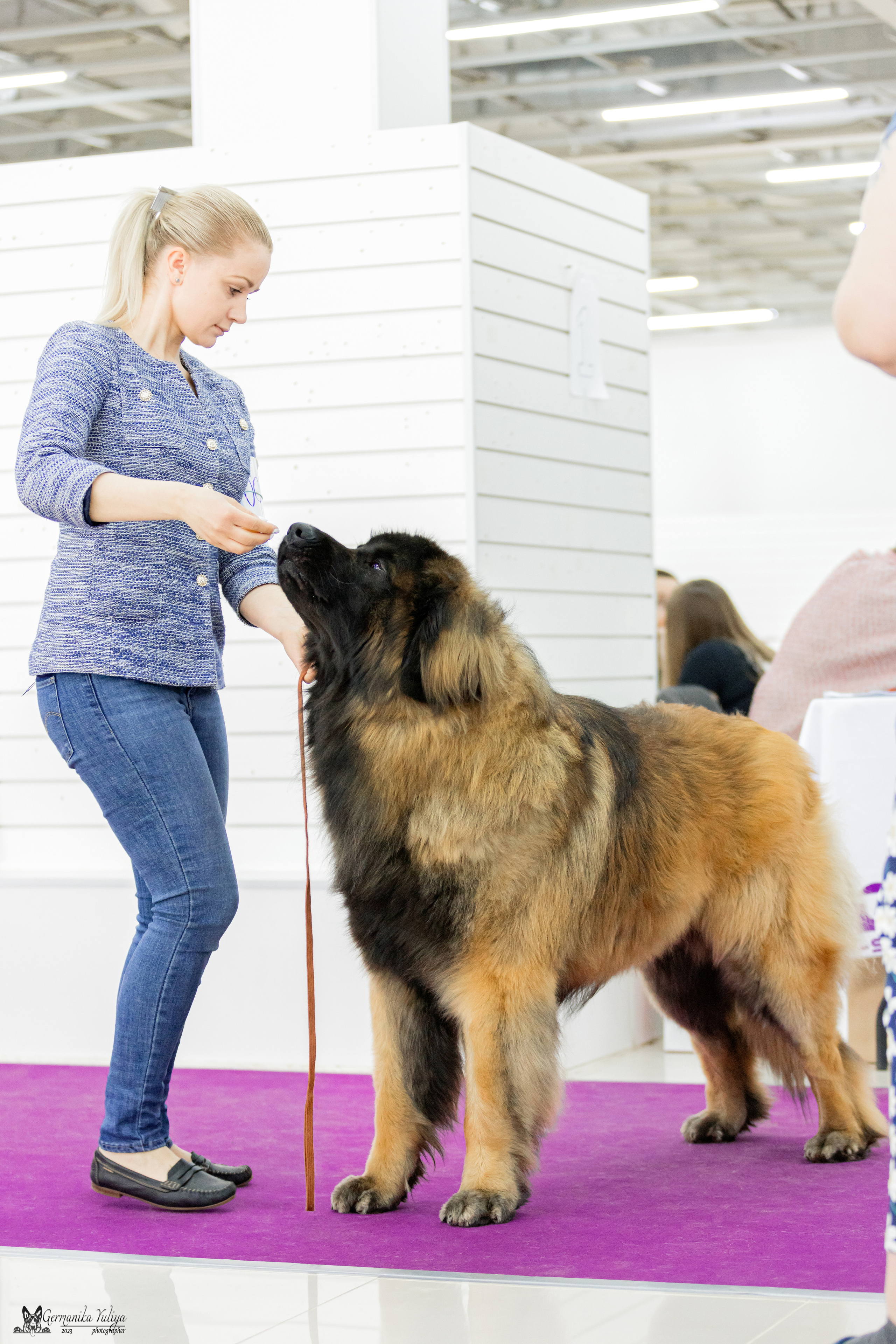 МД 15.04.2023. Фотограф-анималист Юлия Германика