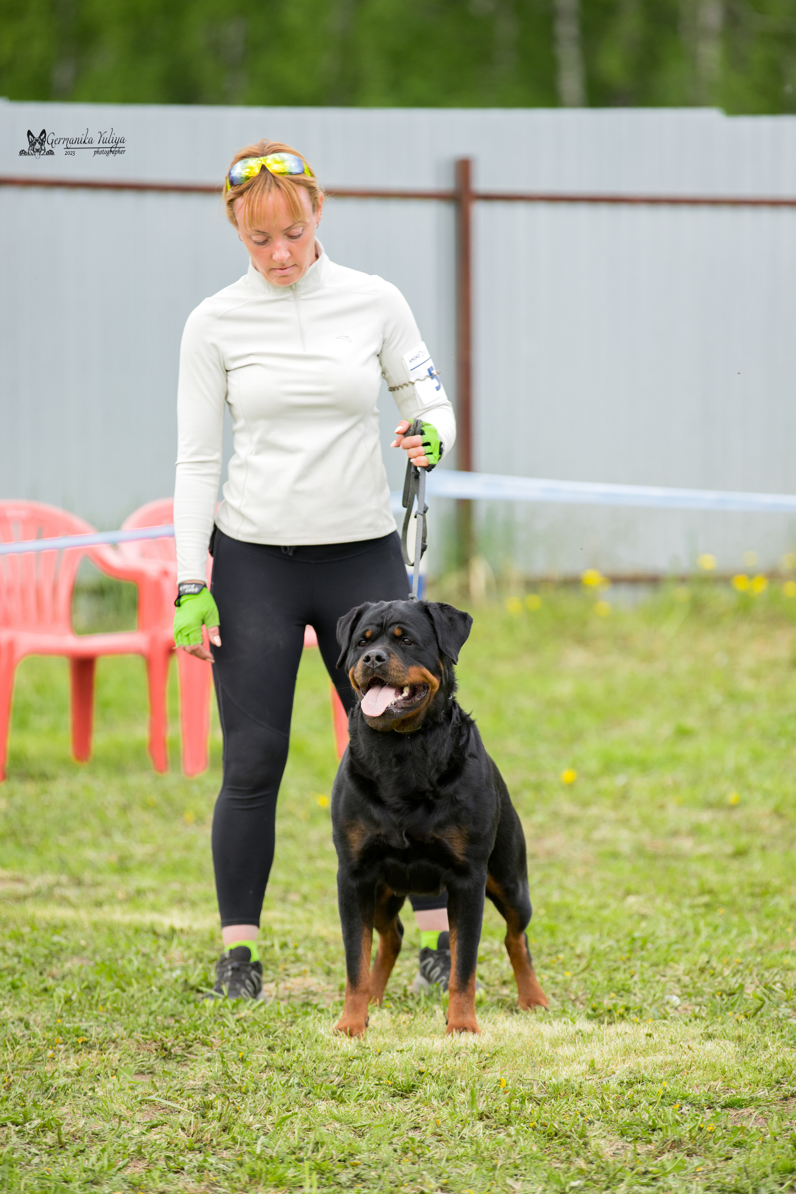 Нижний Новгород моно ротвейлеров 13.05.2023. Фотограф-анималист Юлия Германика
