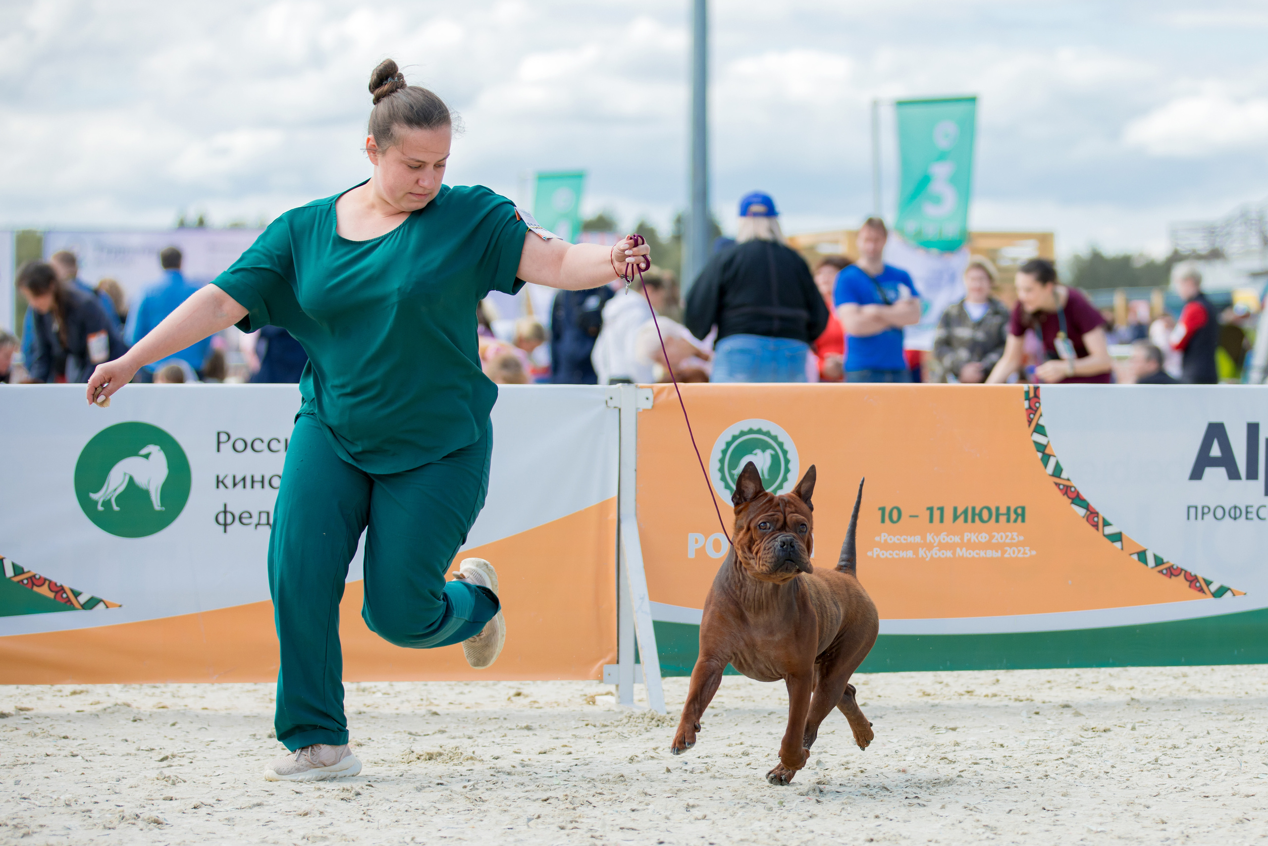 Россия 10-11.06.2023. Фотограф-анималист Юлия Германика