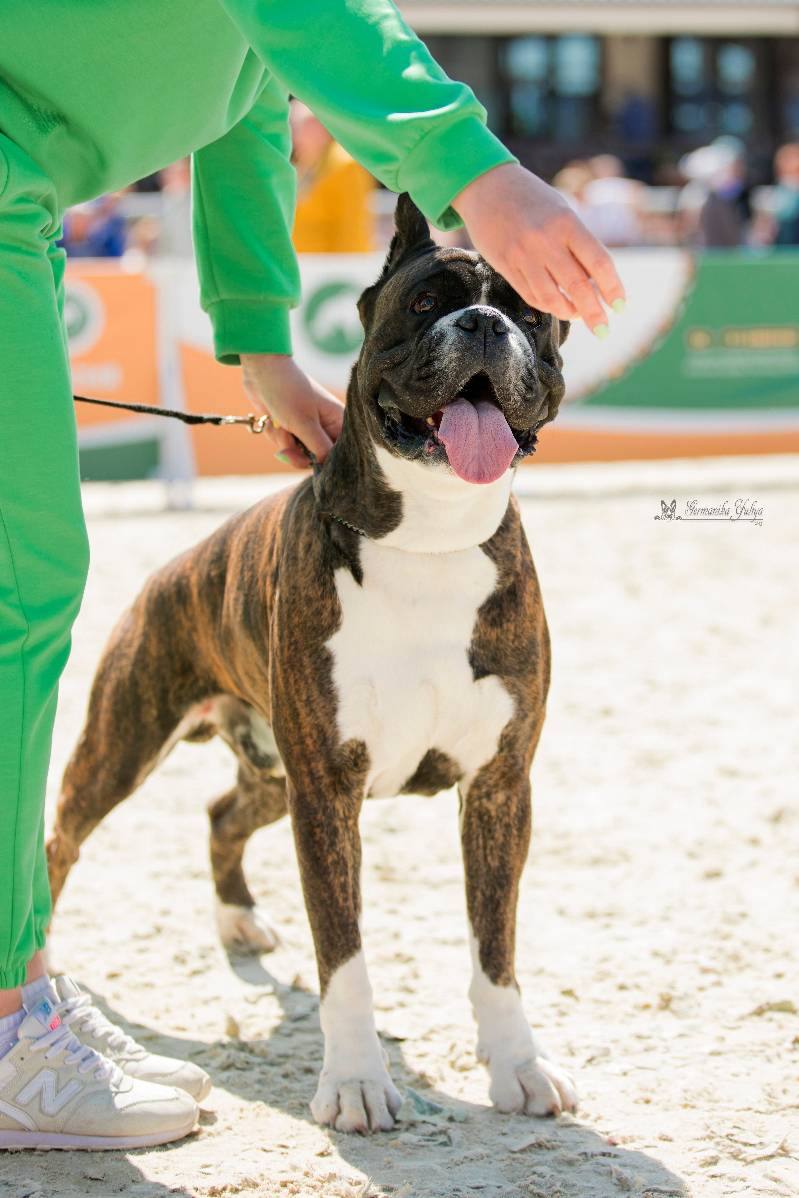 Россия 10-11.06.2023. Фотограф-анималист Юлия Германика