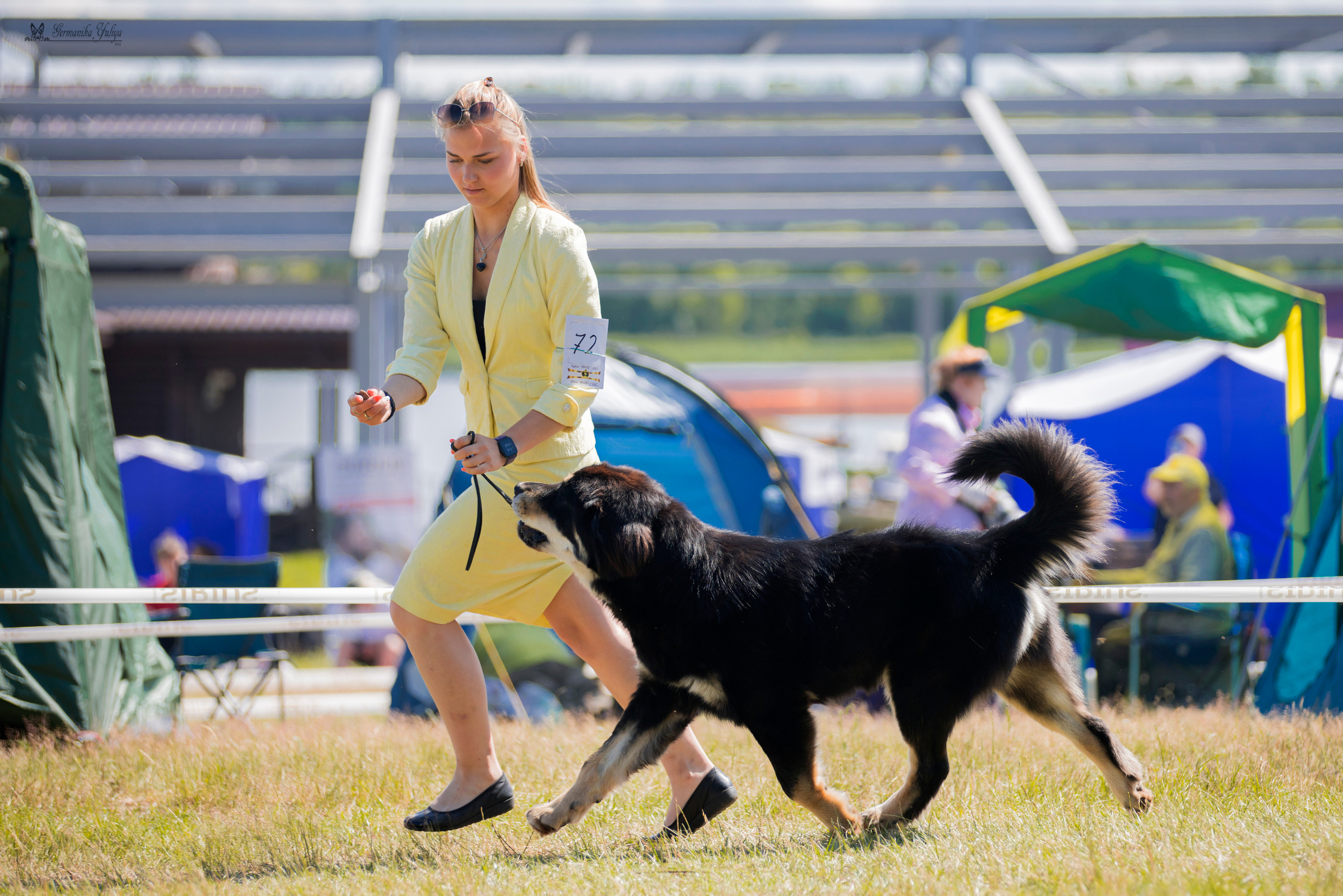 Волжанка 8.07.2023. Фотограф-анималист Юлия Германика
