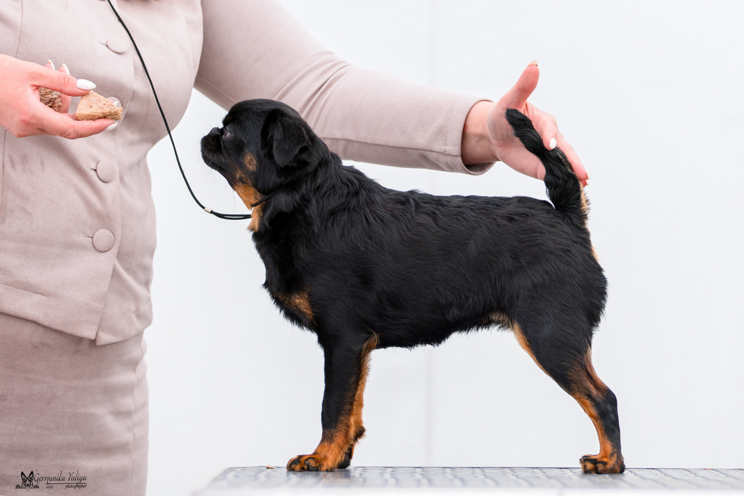 Измайлово 21.05.2023. Фотограф-анималист Юлия Германика